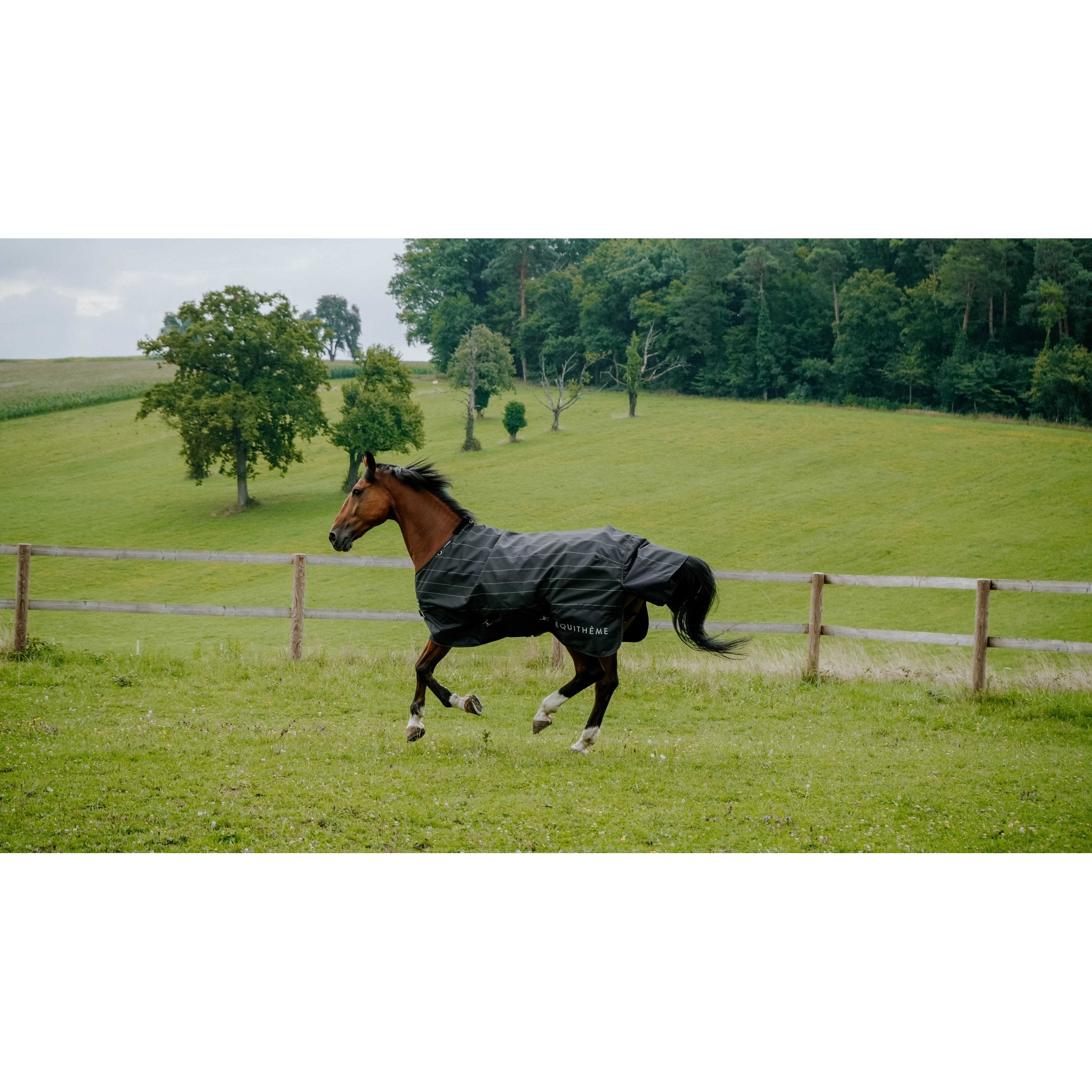 Equitheme TYREX Lumin 600D Övergångstäcke 50g