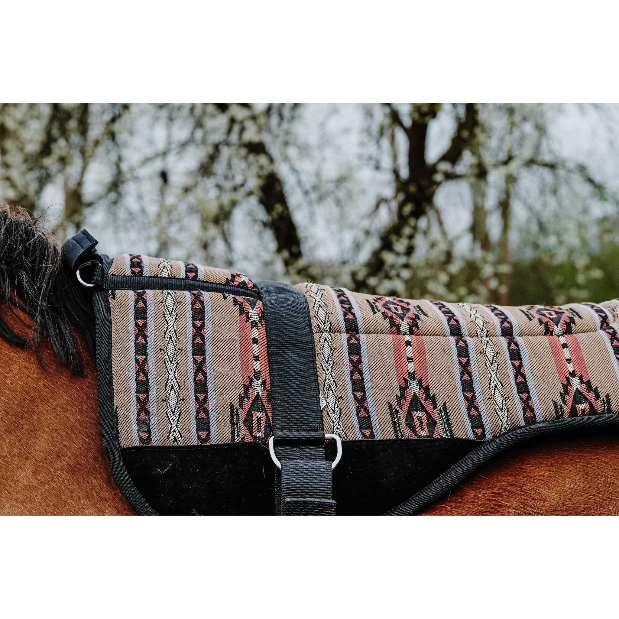 Norton barbackapadd Kiowa