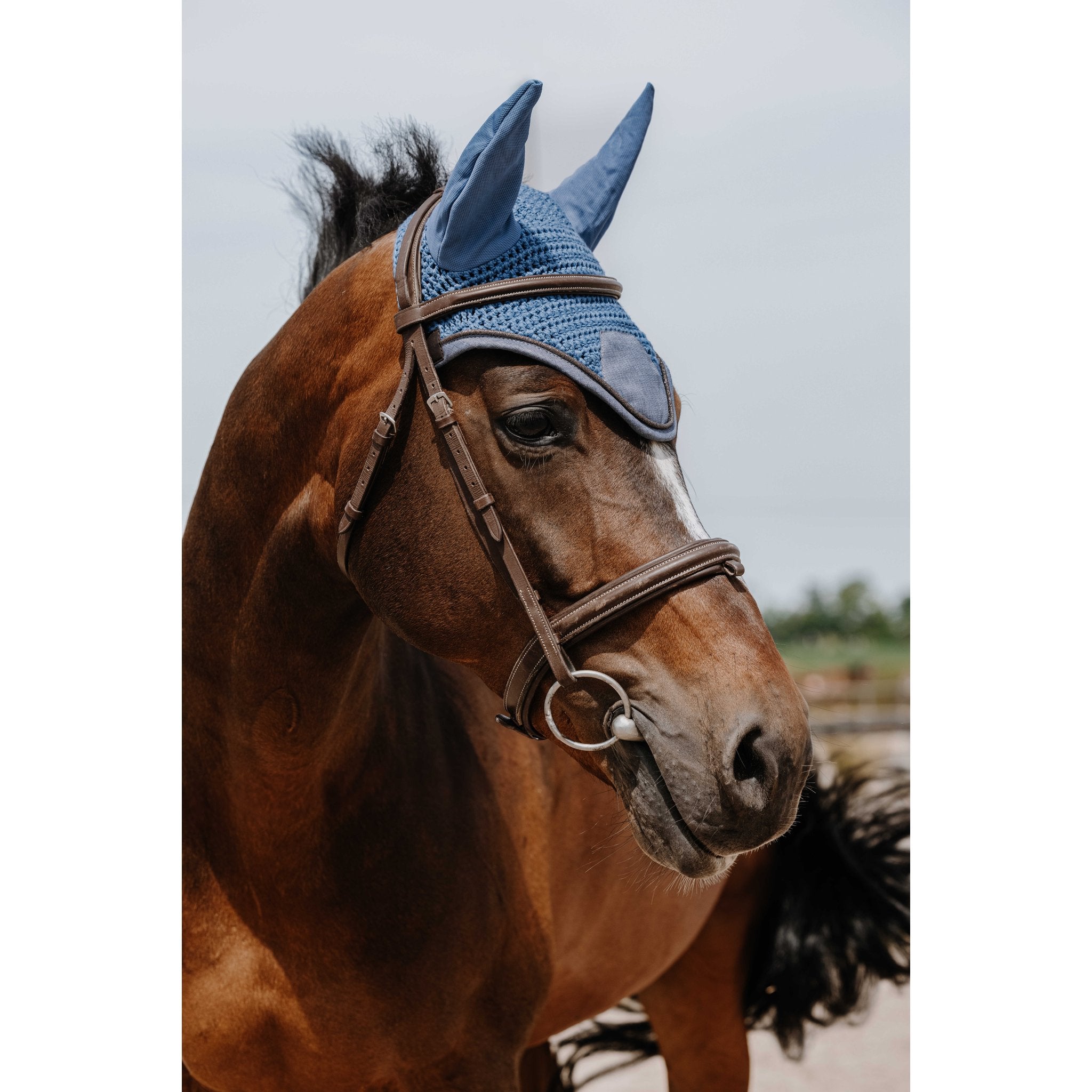Equithème Chic Luva