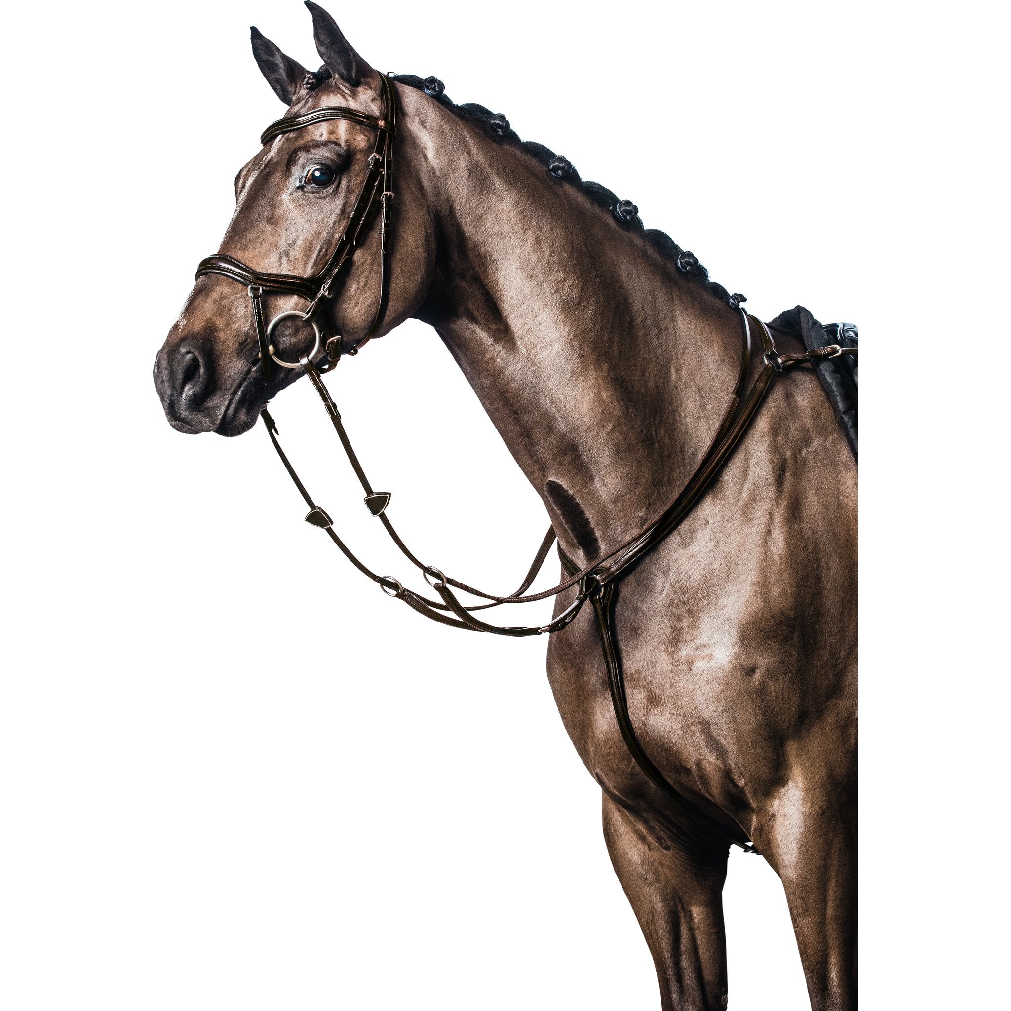 HorseGuard Soft läder förbygel