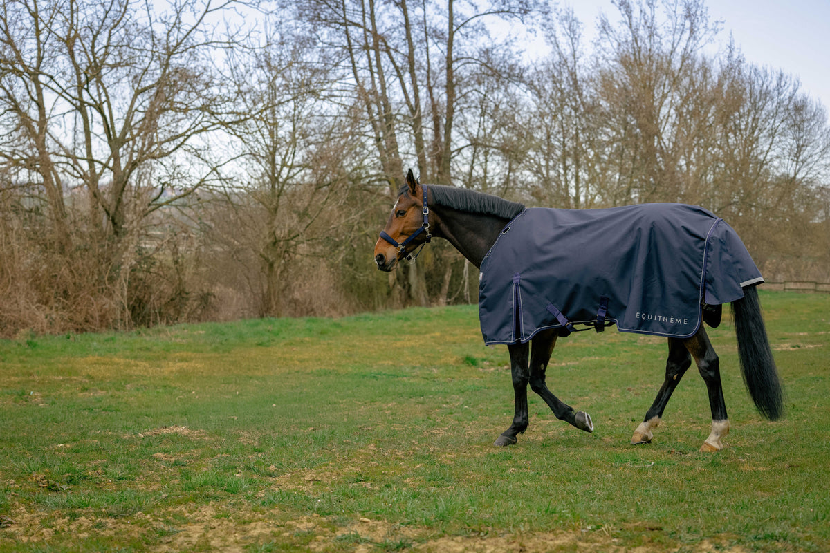 Equitheme Anatomic Aisance 1200 D