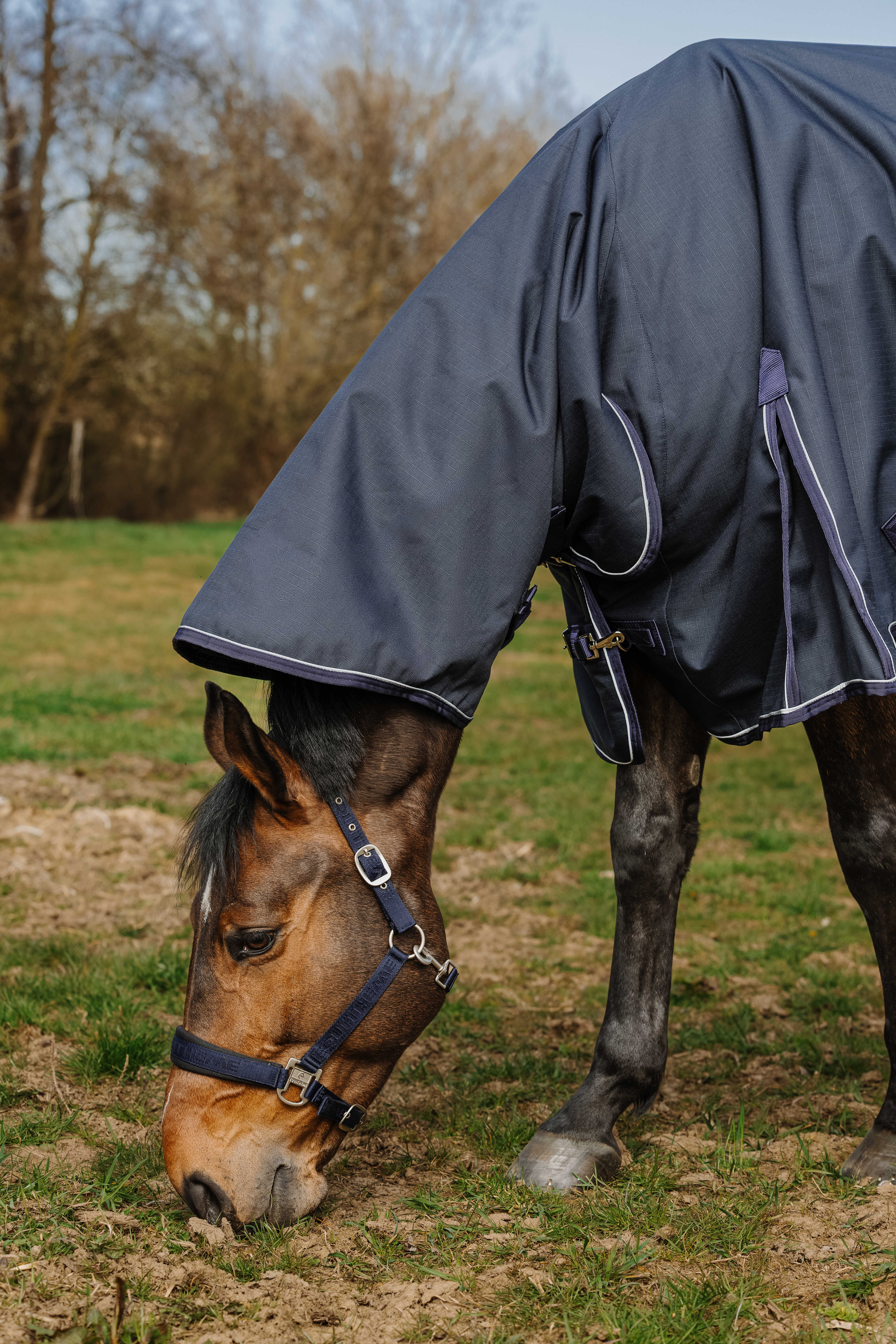 Equitheme Anatomic Combo 1200D Utetäcke 50g