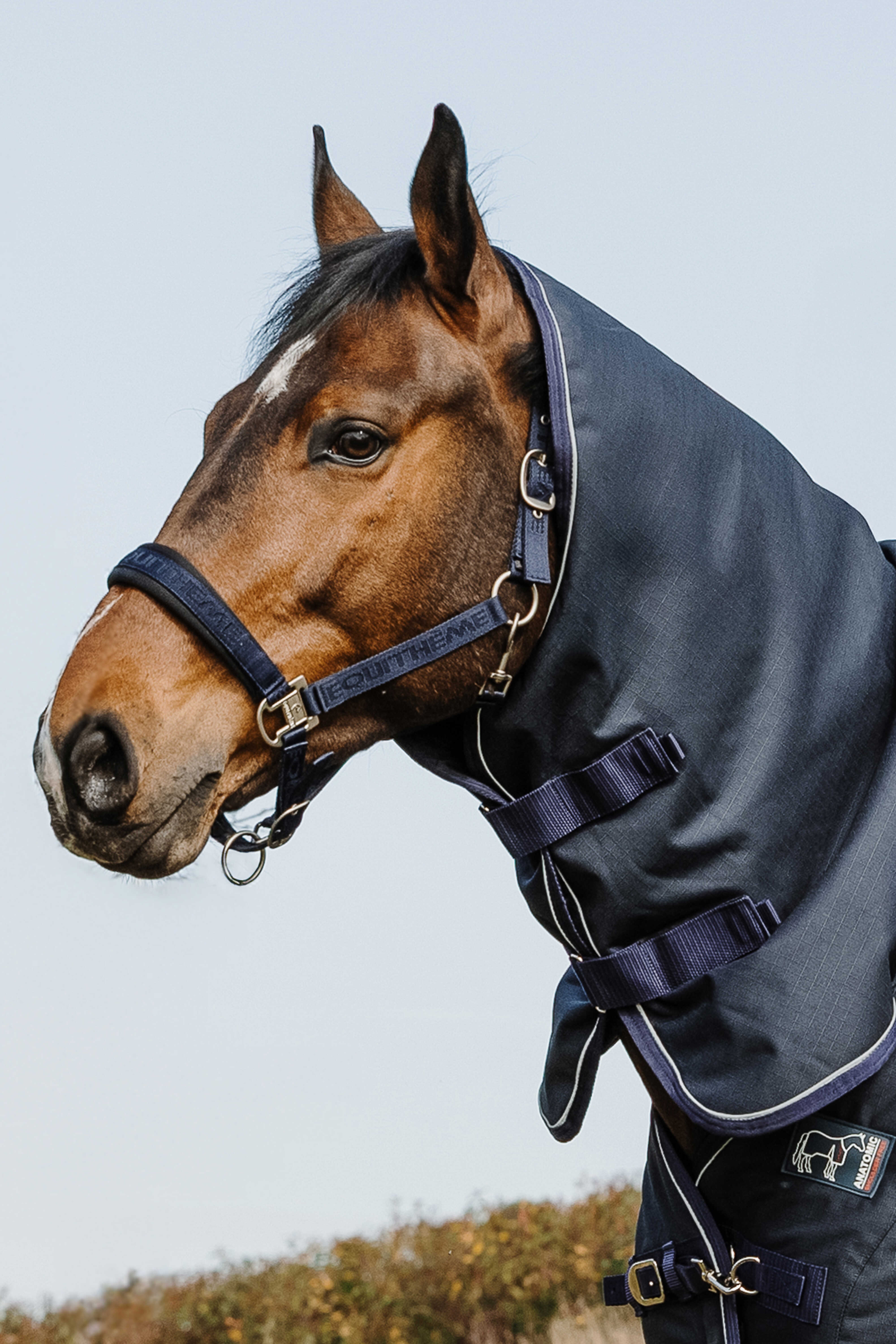 Equitheme Anatomic 1200D Halstäcke 0g