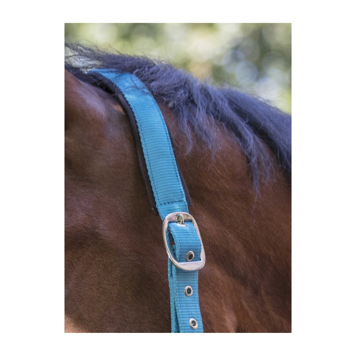 Norton Fluo Lined grimma