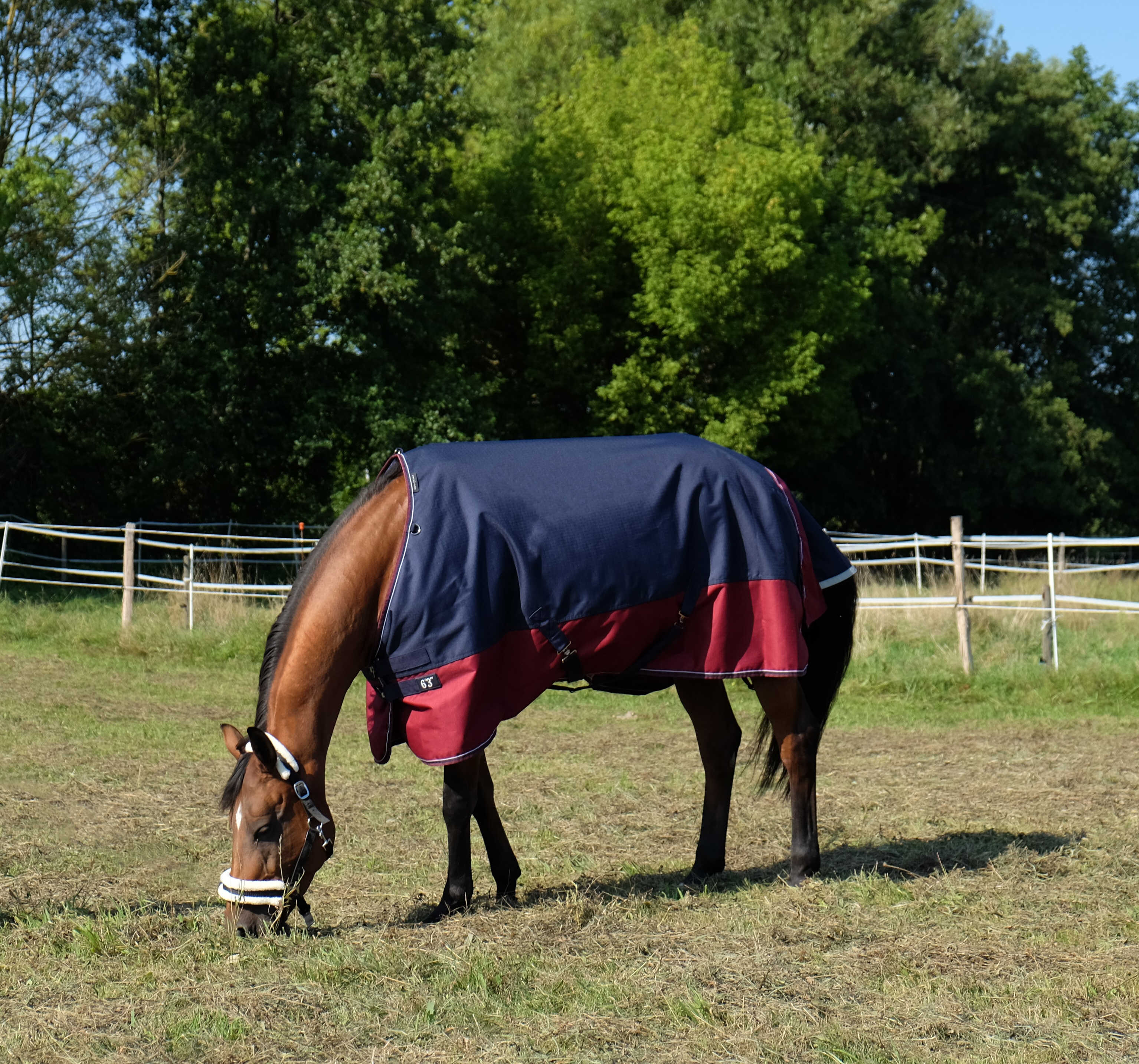 Equithème TYREX 1200D Turnout täcke 0 g