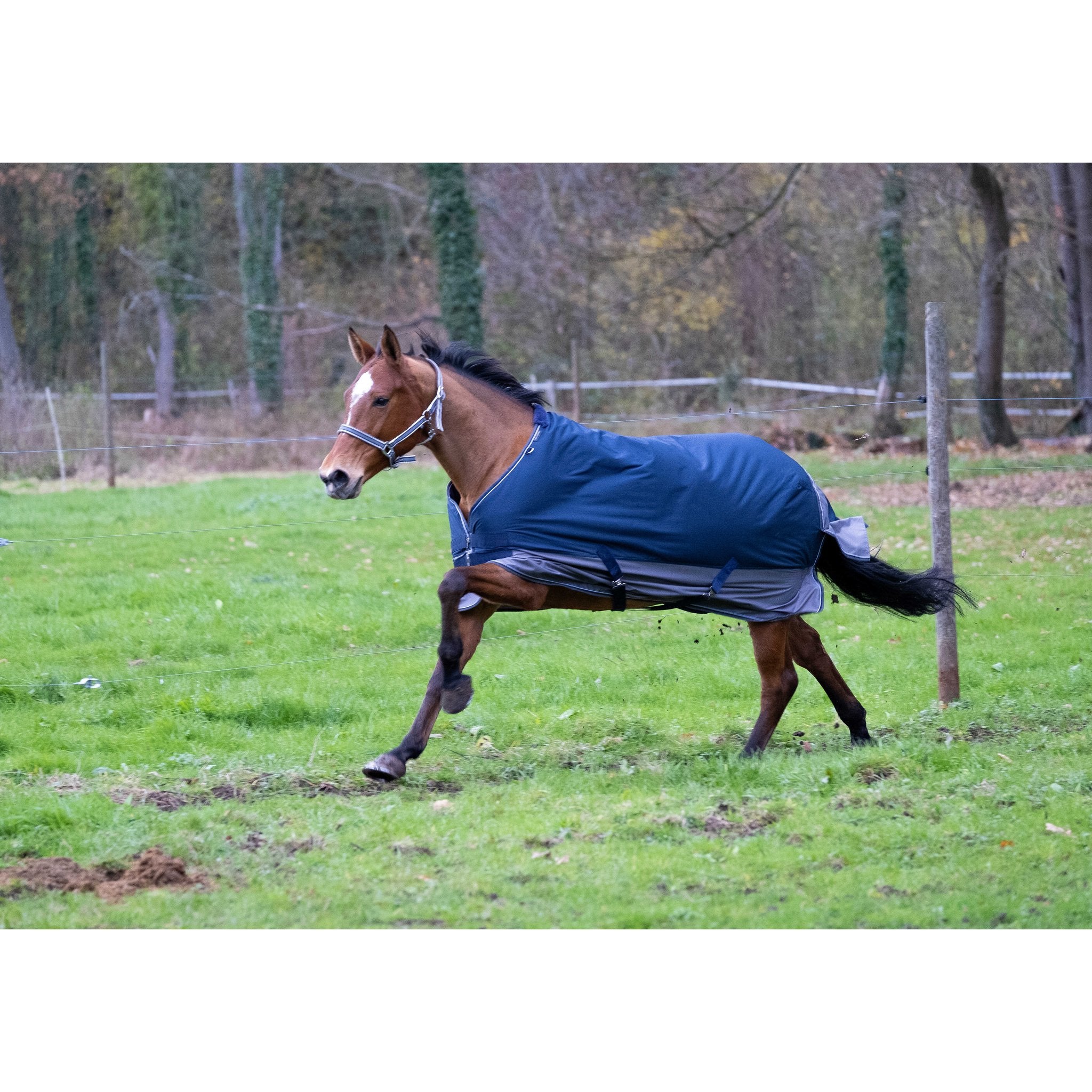 Equithème TYREX 600D Turnout täcke 450 g