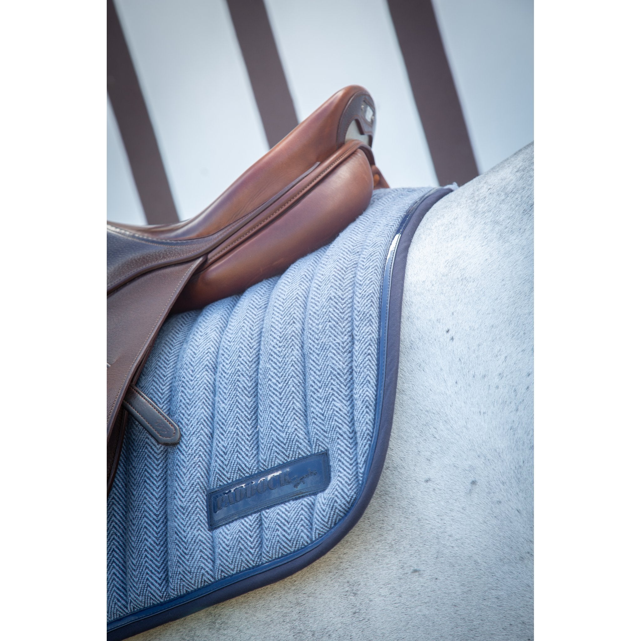 PADDOCK Wooltouch schabrak