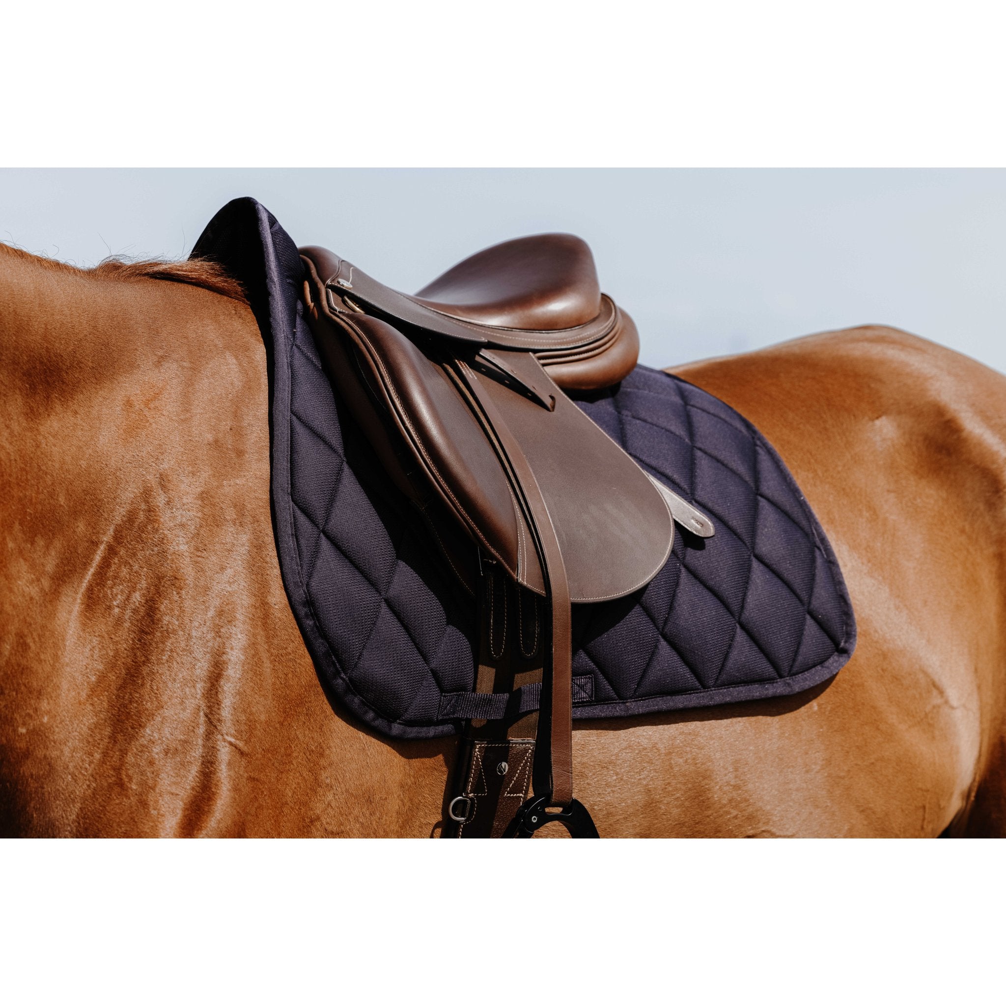 RIDING WORLD School Hoppschabrak