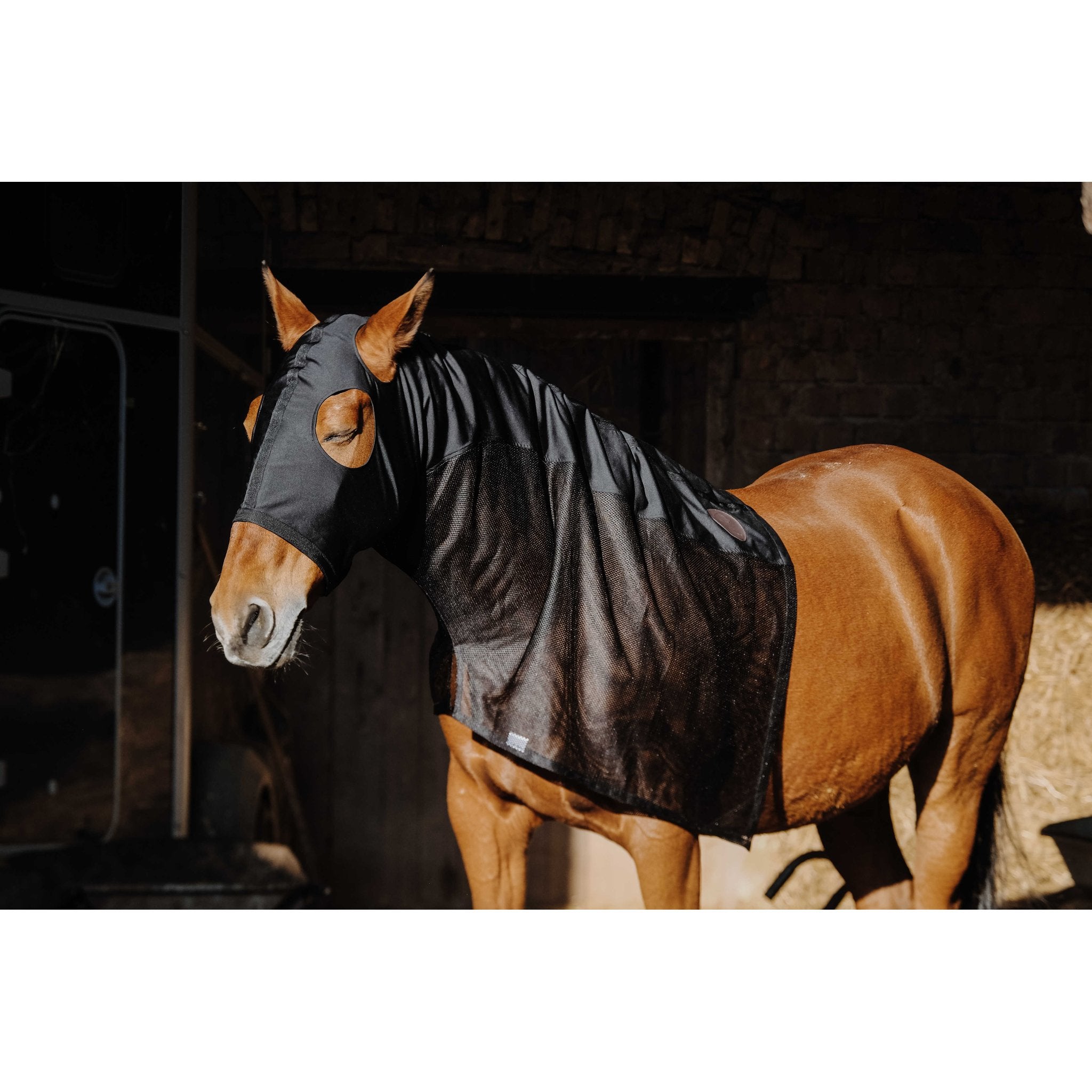 Equithème Lycra/Mesh halsskydd med mask