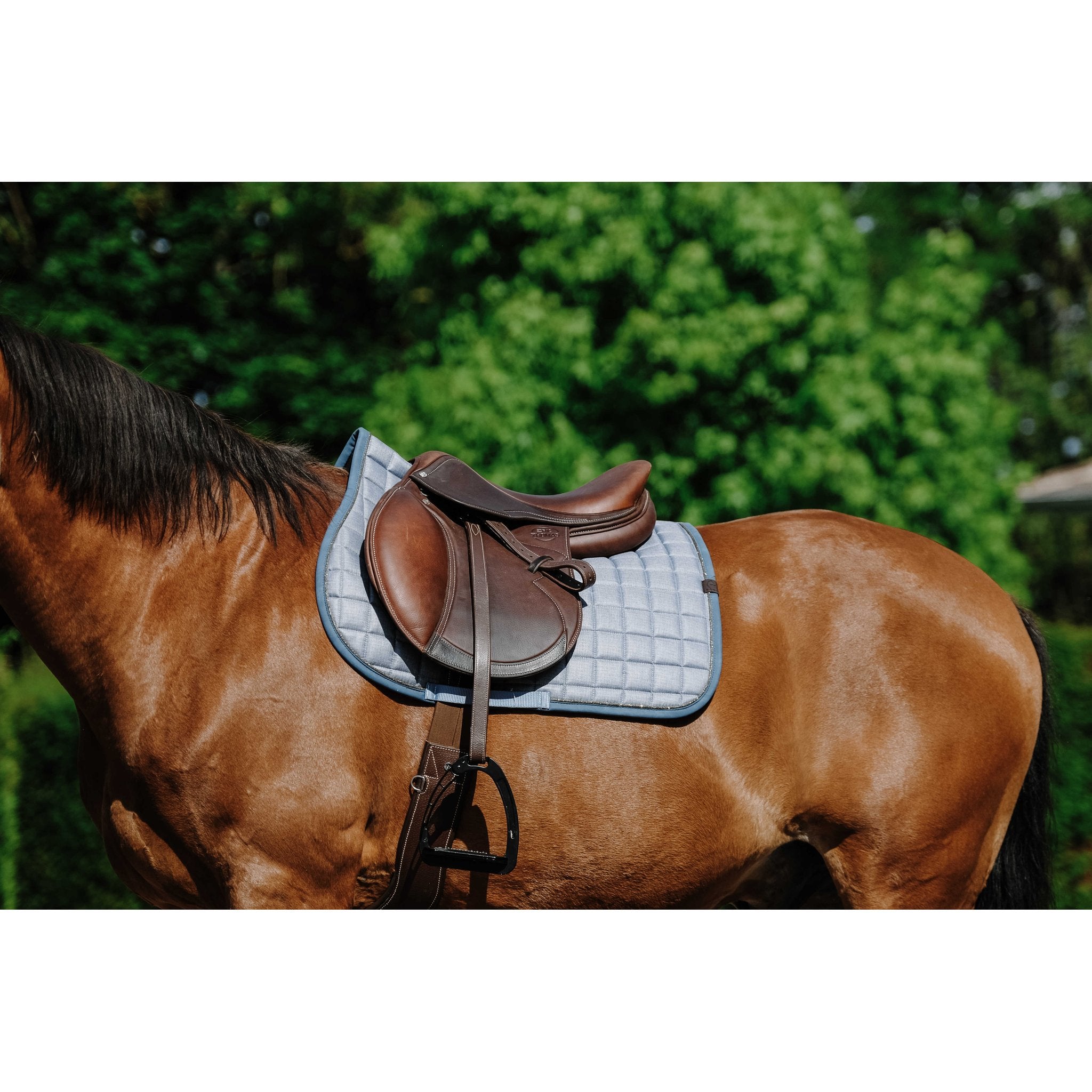 Equithème Chic Schabrak