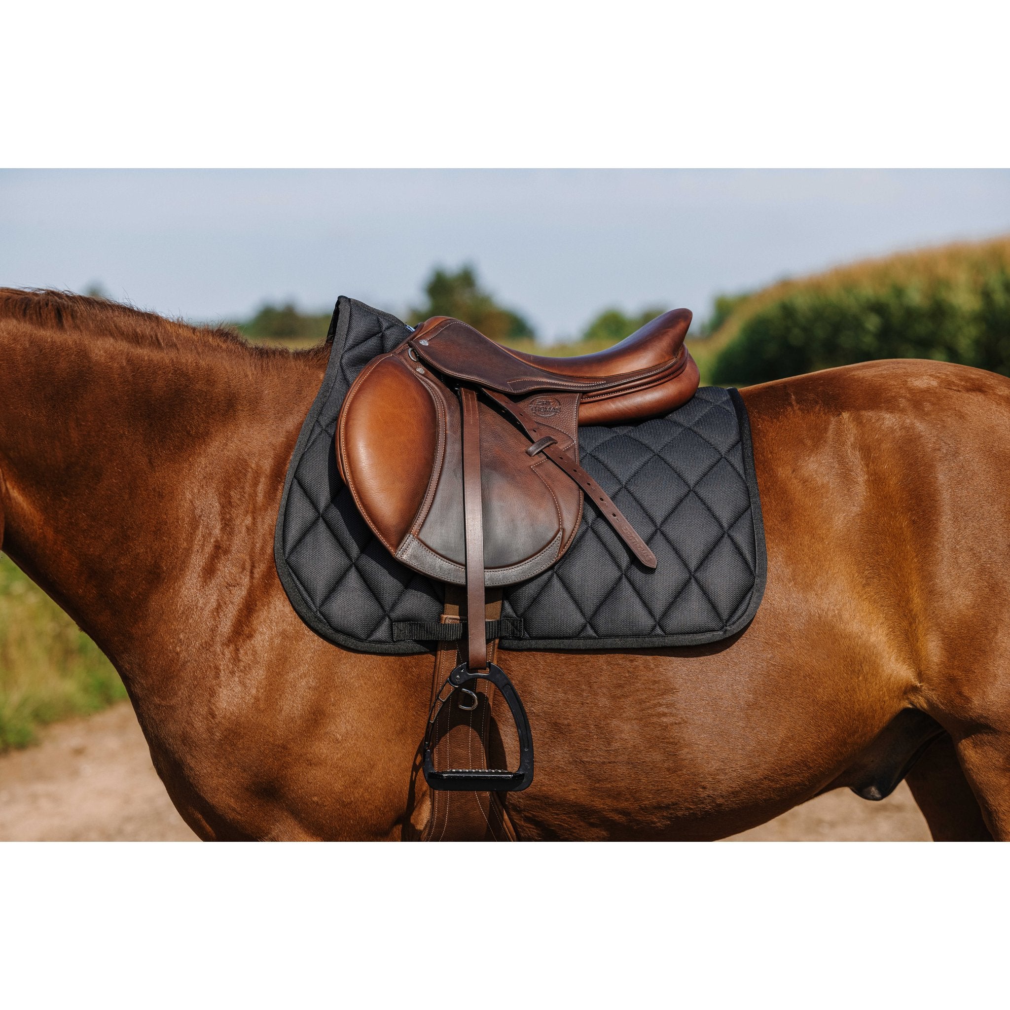 RIDING WORLD School Hoppschabrak