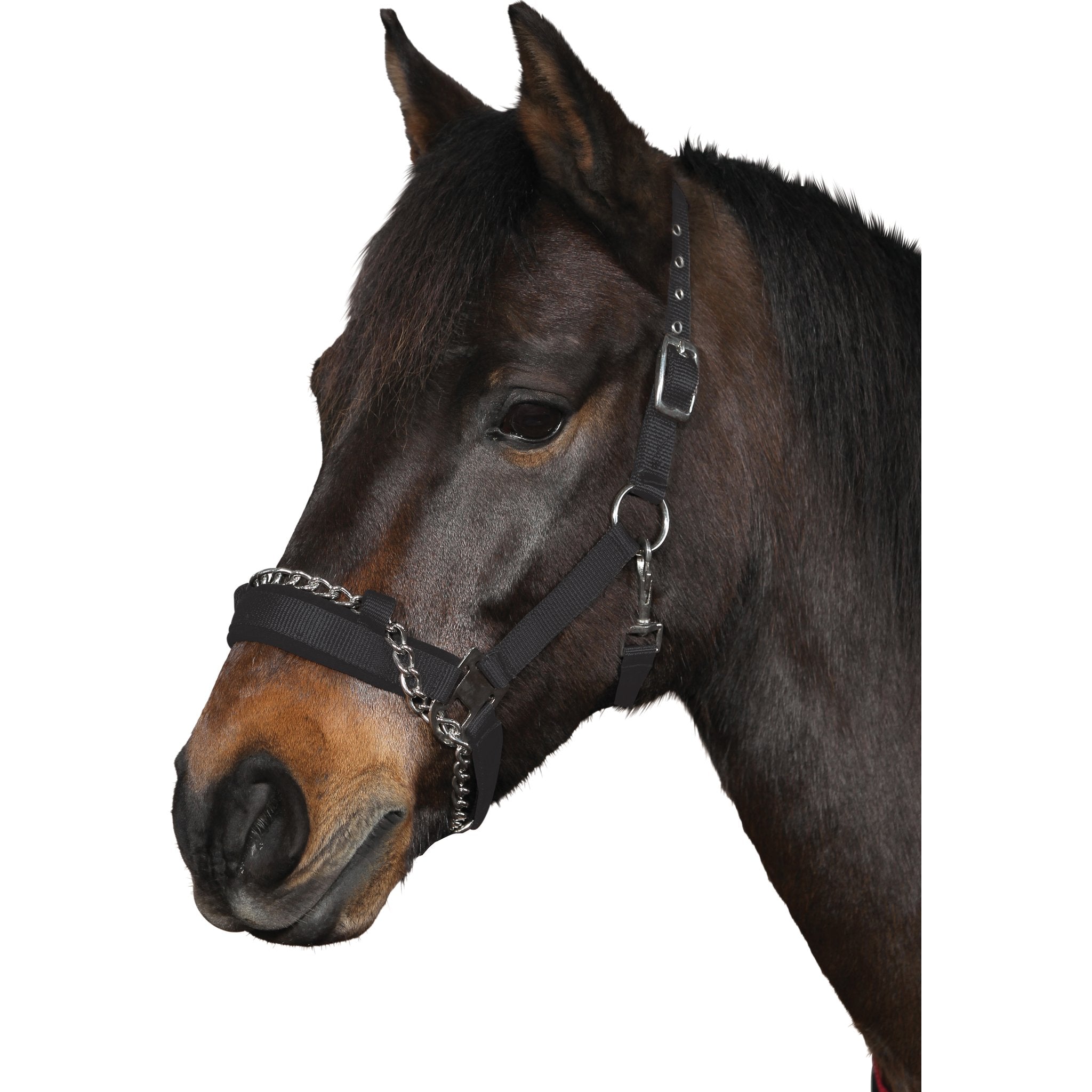 HorseGuard Nylongrimma m/kedja