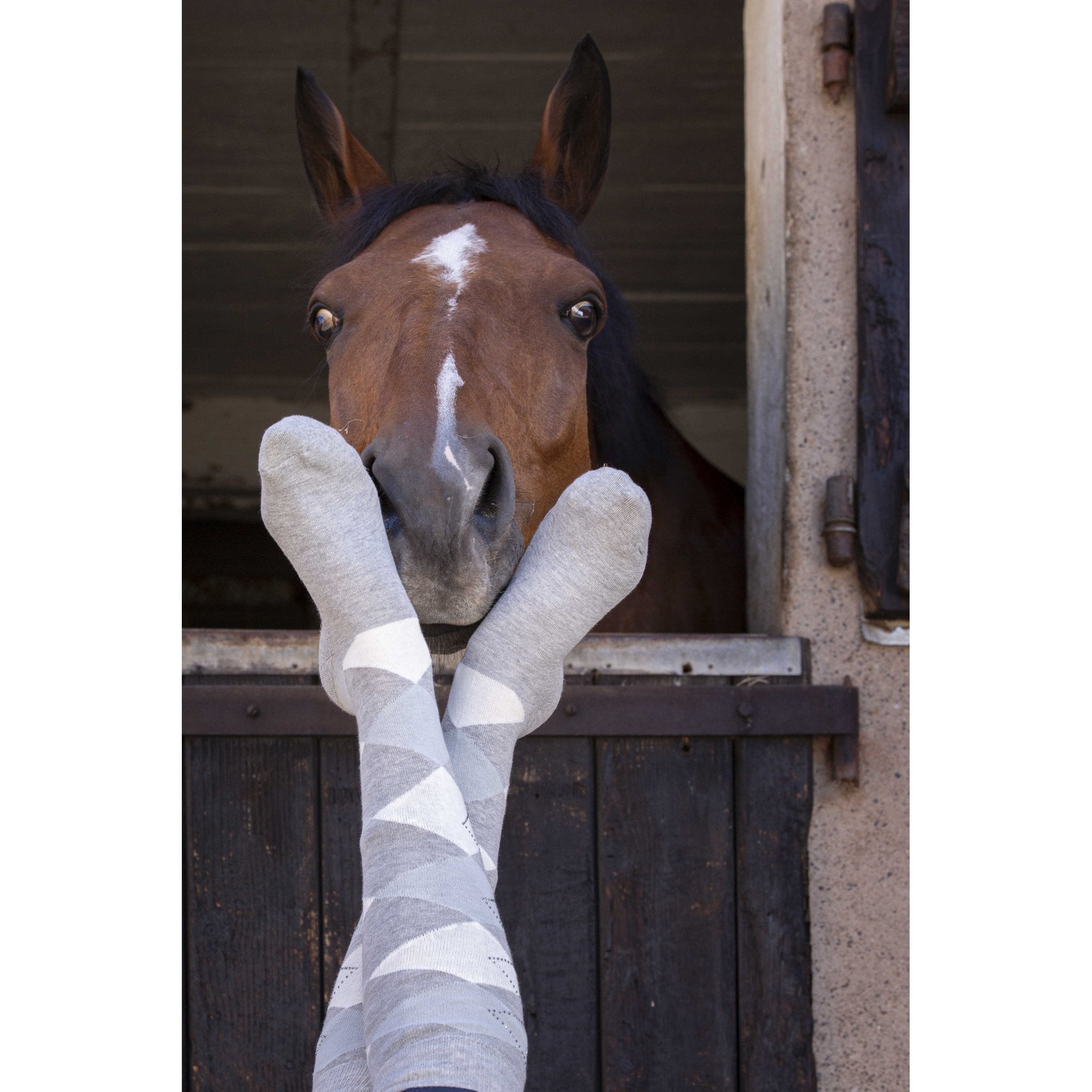 Equithème Girly Strumpa