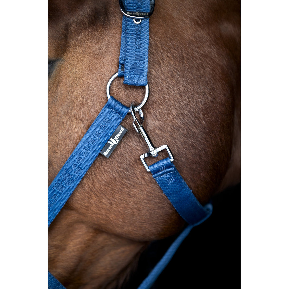 HorseGuard Diya grimma 2.0