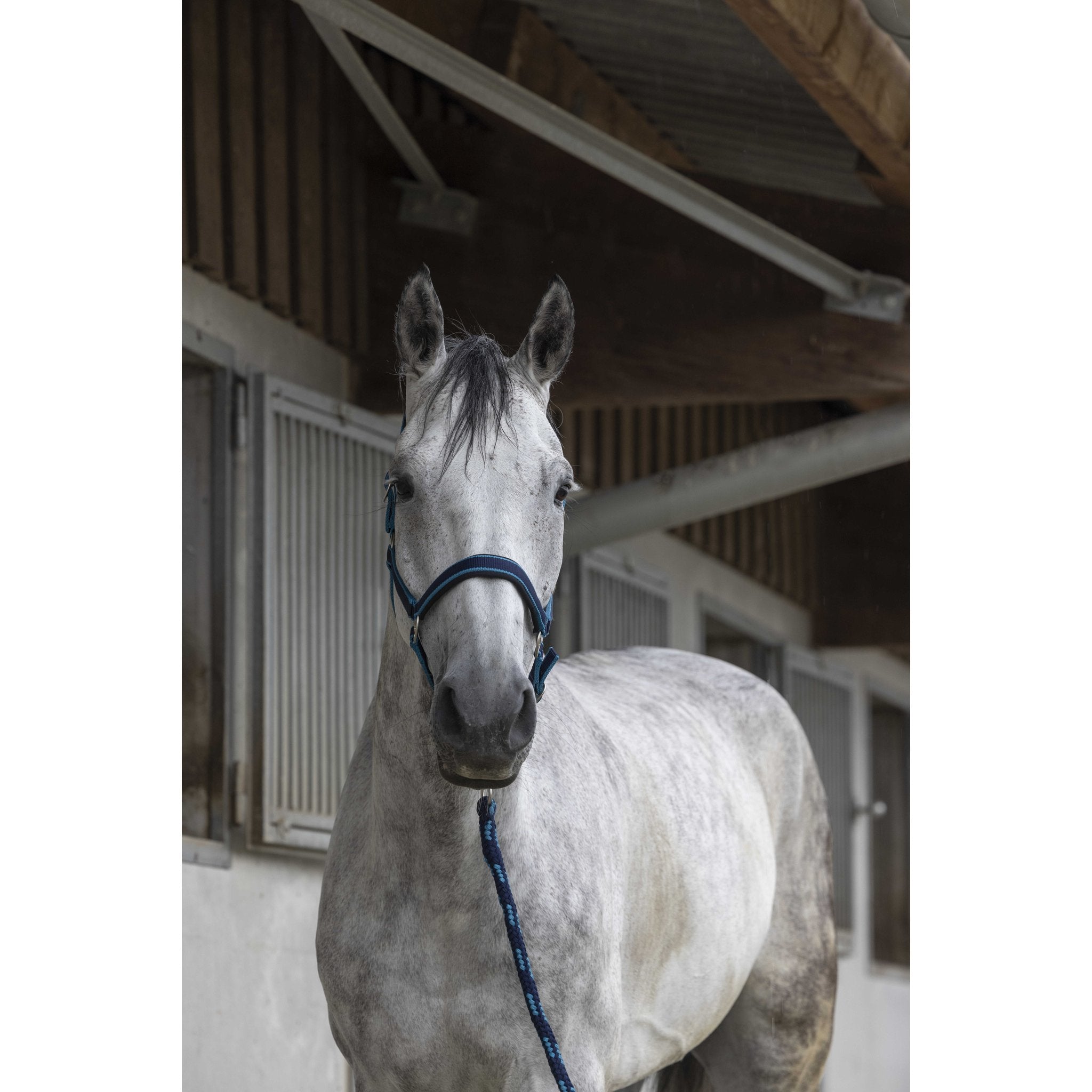 Equithème Satin Grimma + Grimskaft