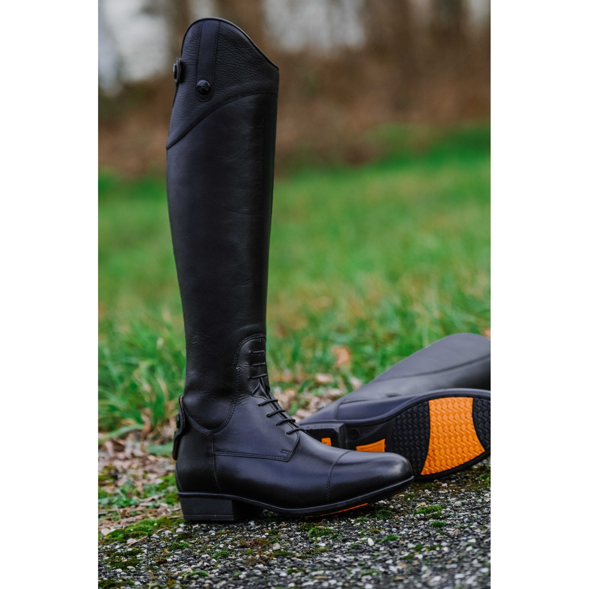 Equithème New Primera Ridstövel