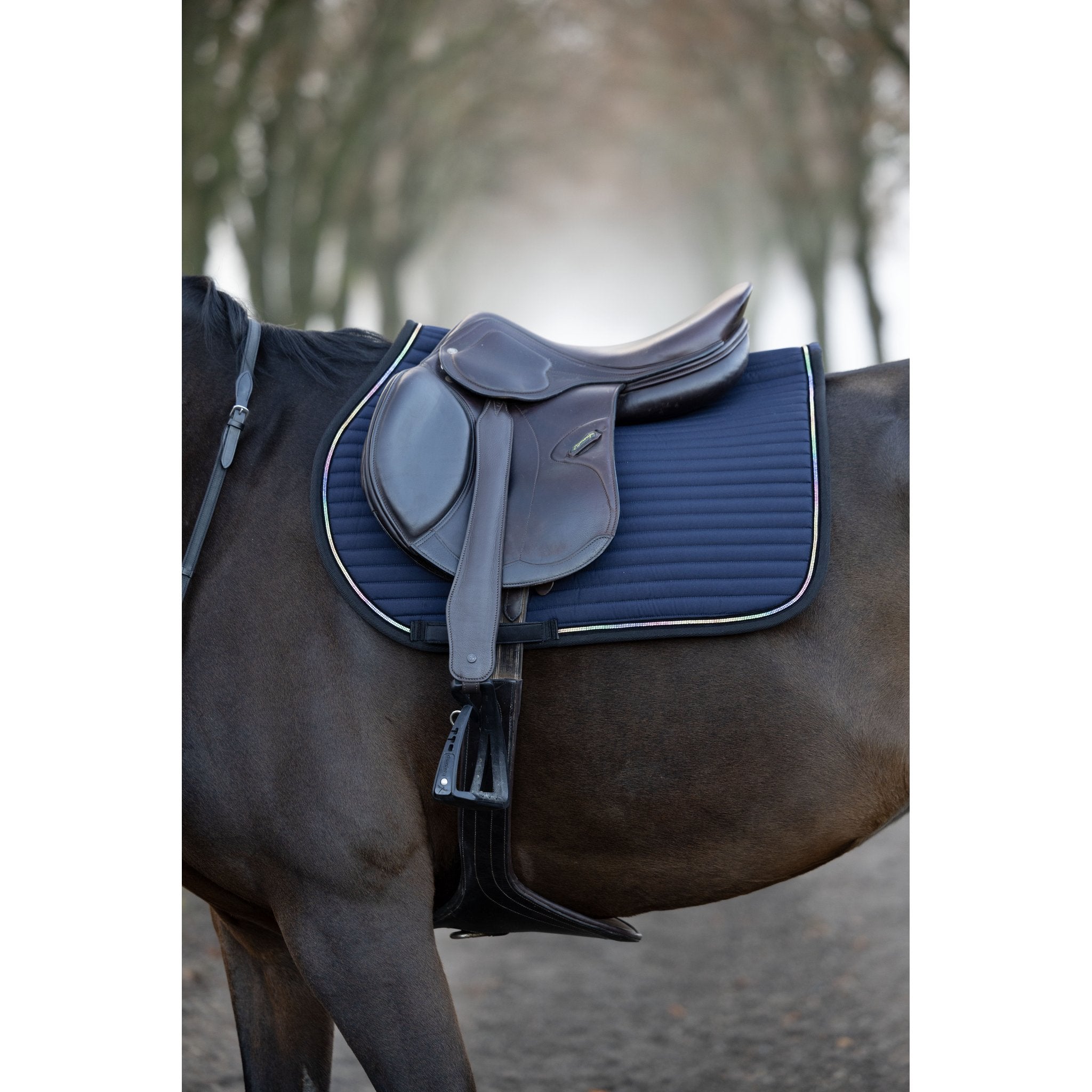 Horse Guard Bellingham allroundschabrak