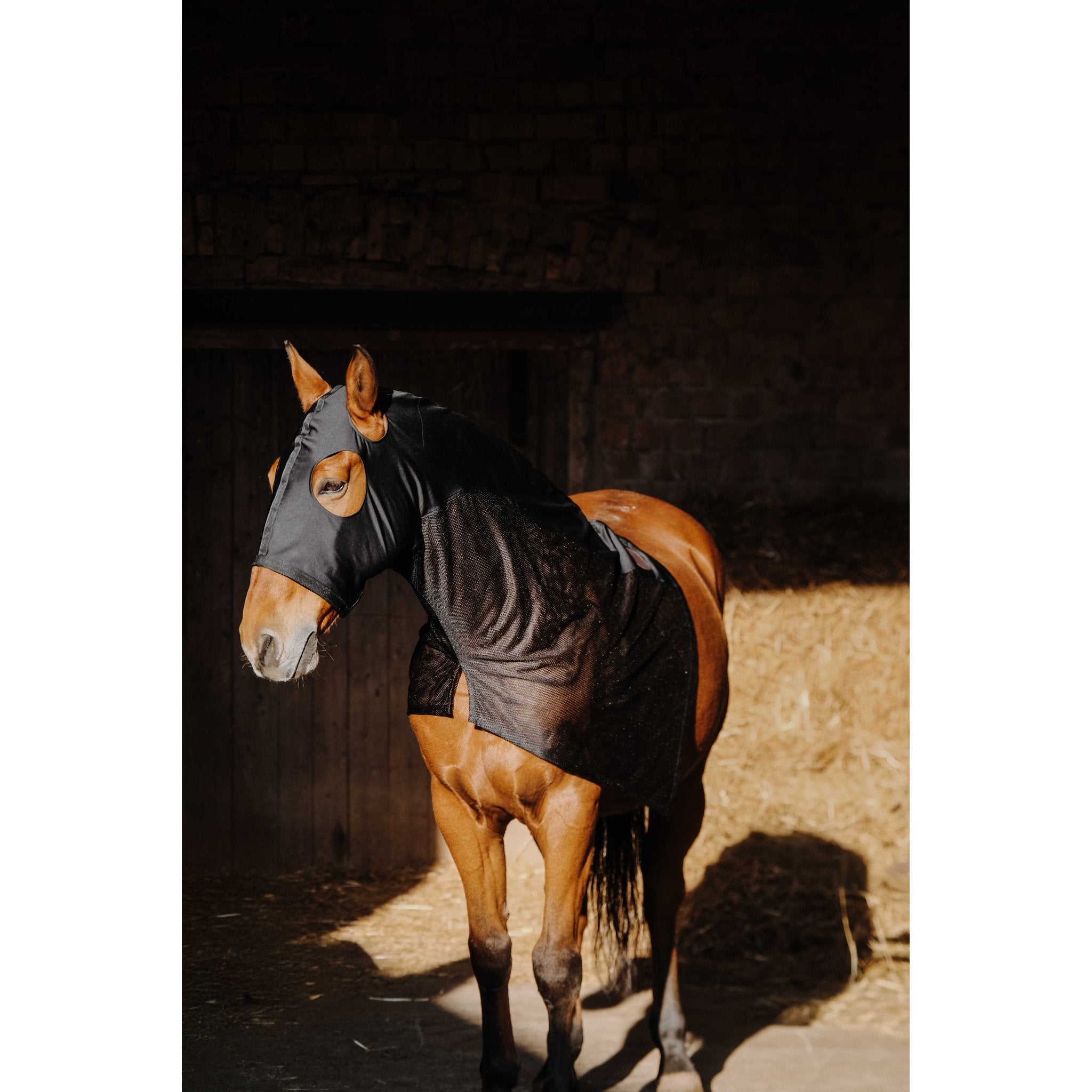 Equithème Lycra/Mesh halsskydd med mask