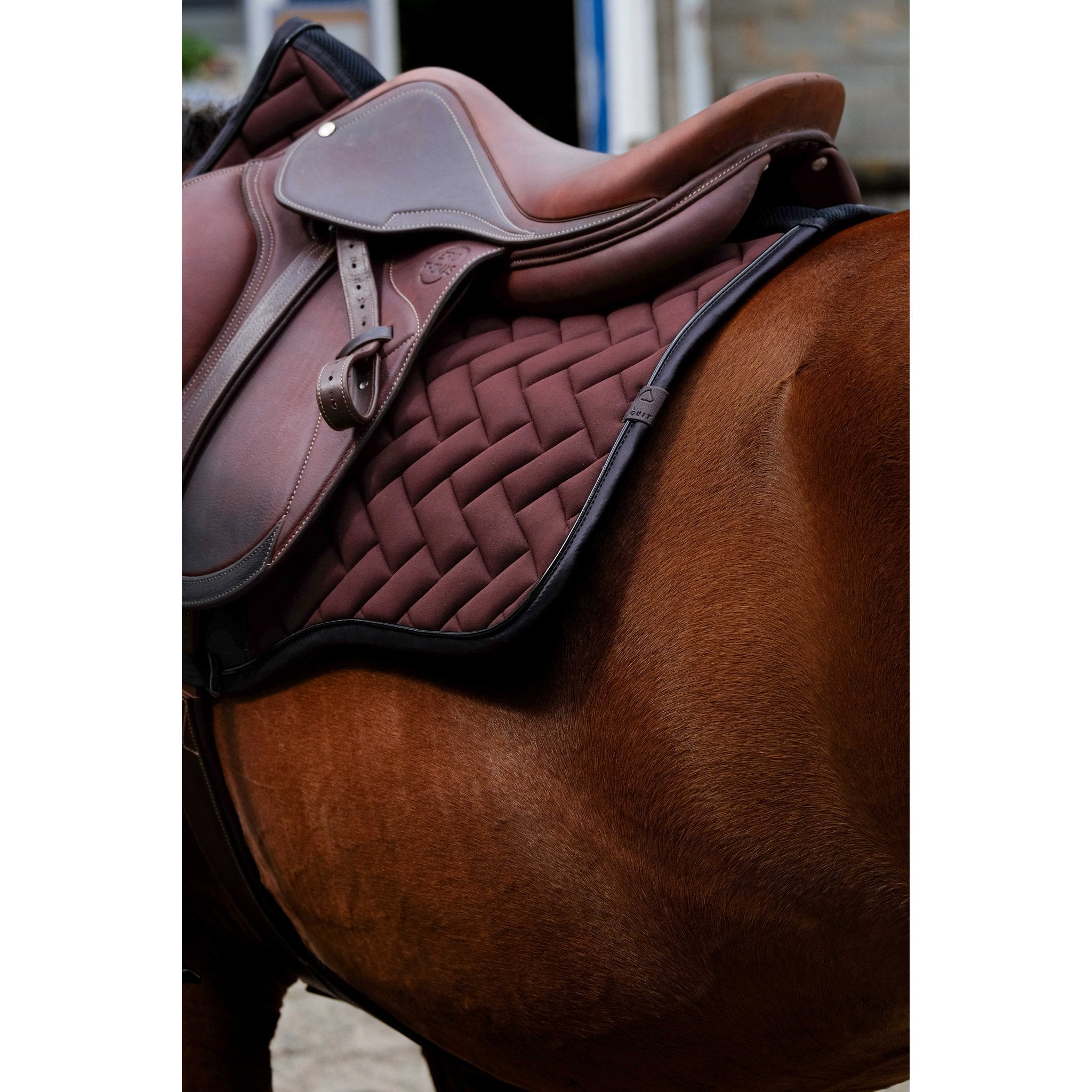 Equithème Impulsion Schabrak