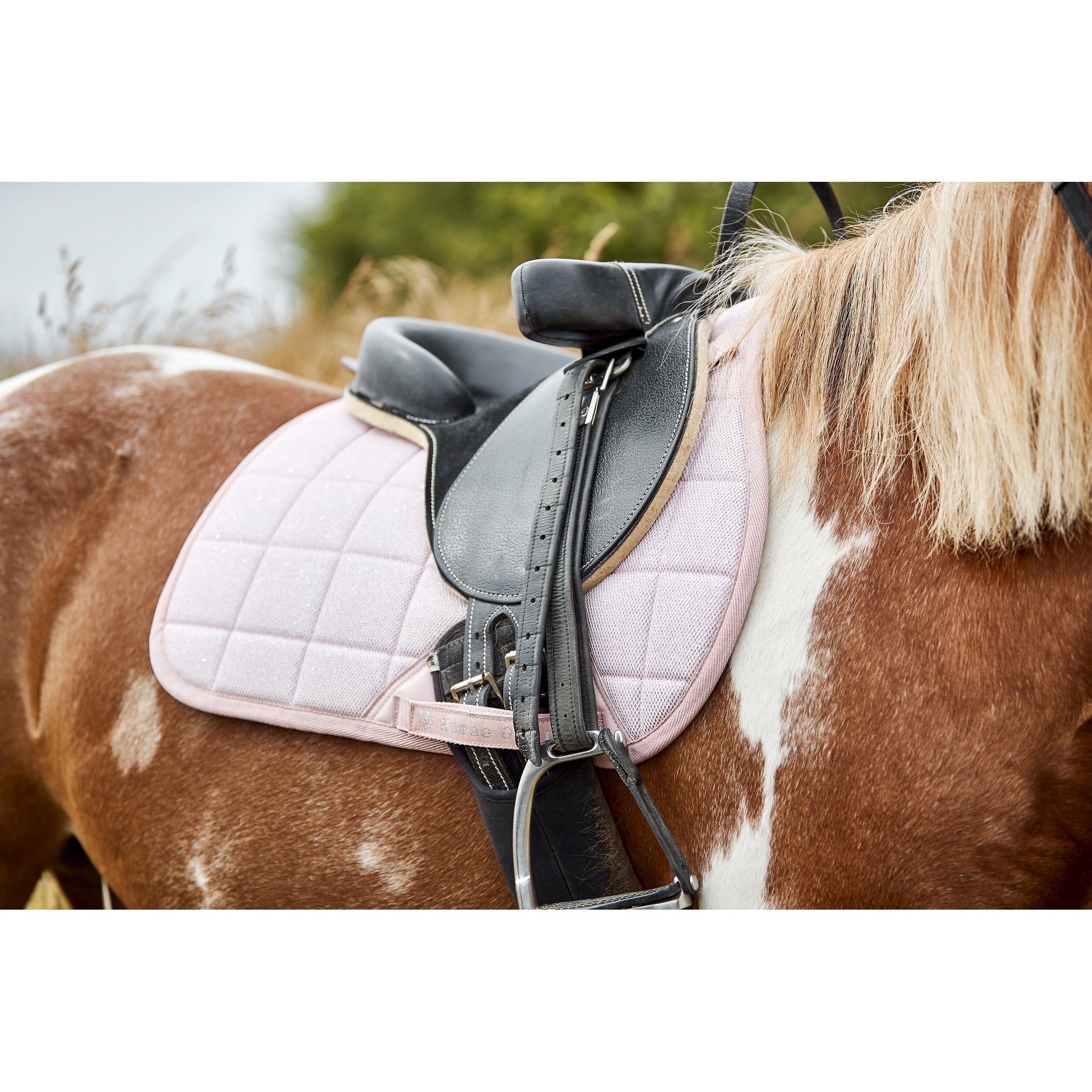 HorseGuard Mesh Glitter schabrak Hopp
