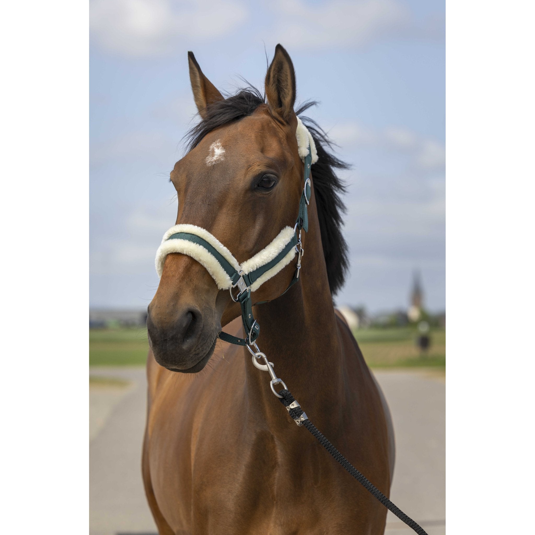 Equithème Nylon Mouton Grimma