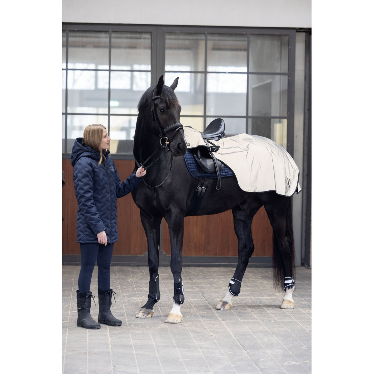 Horse Guard Reflective bakbenskydd