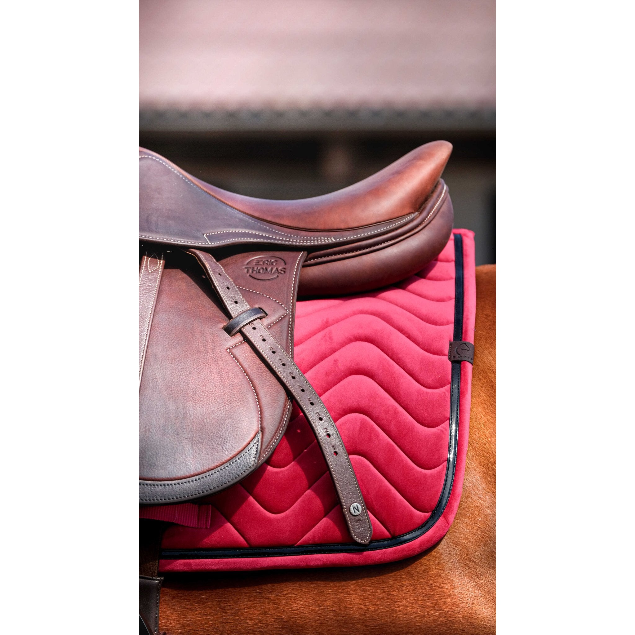 Equithème Glossy Schabrak