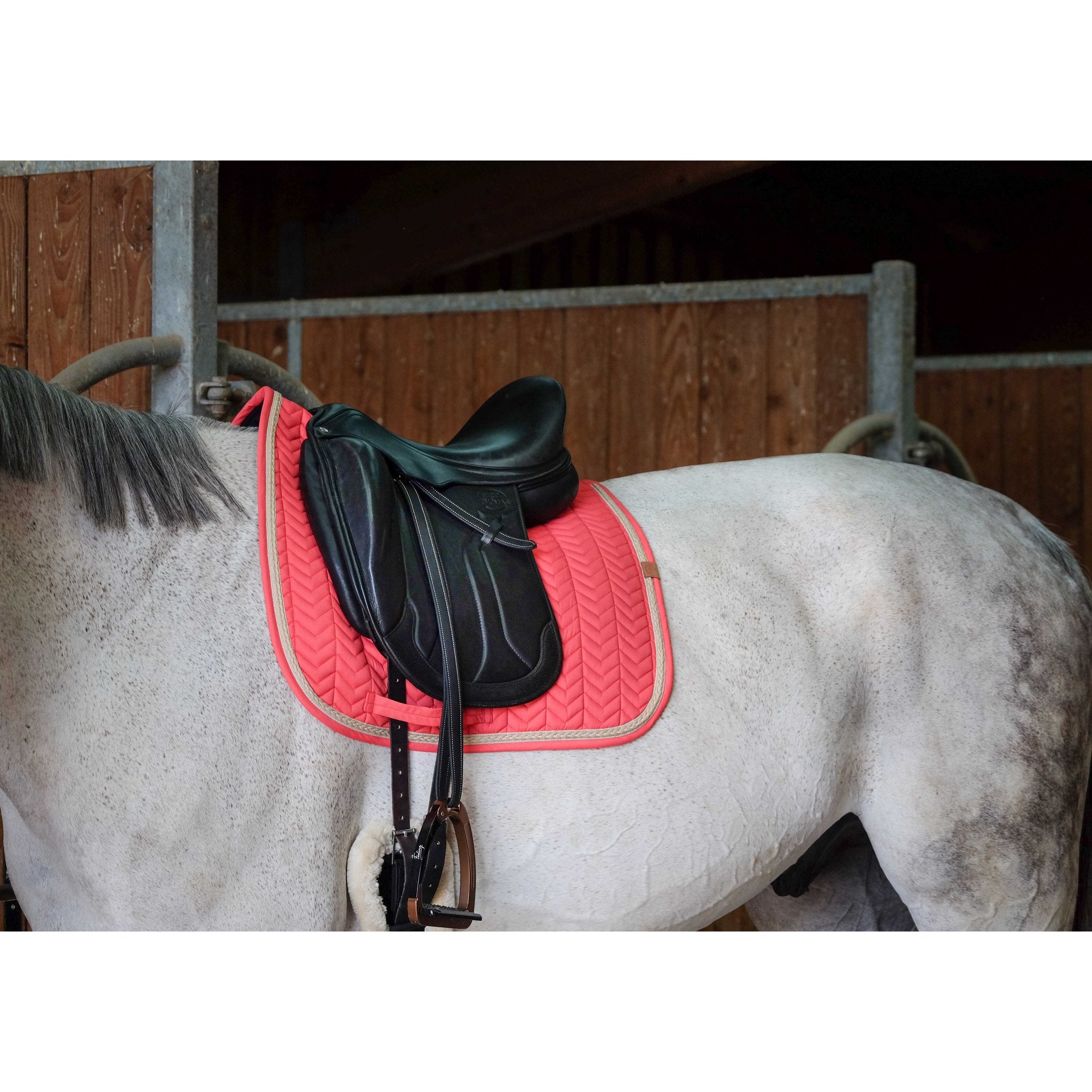 Equithème Softy Schabrak dressyr