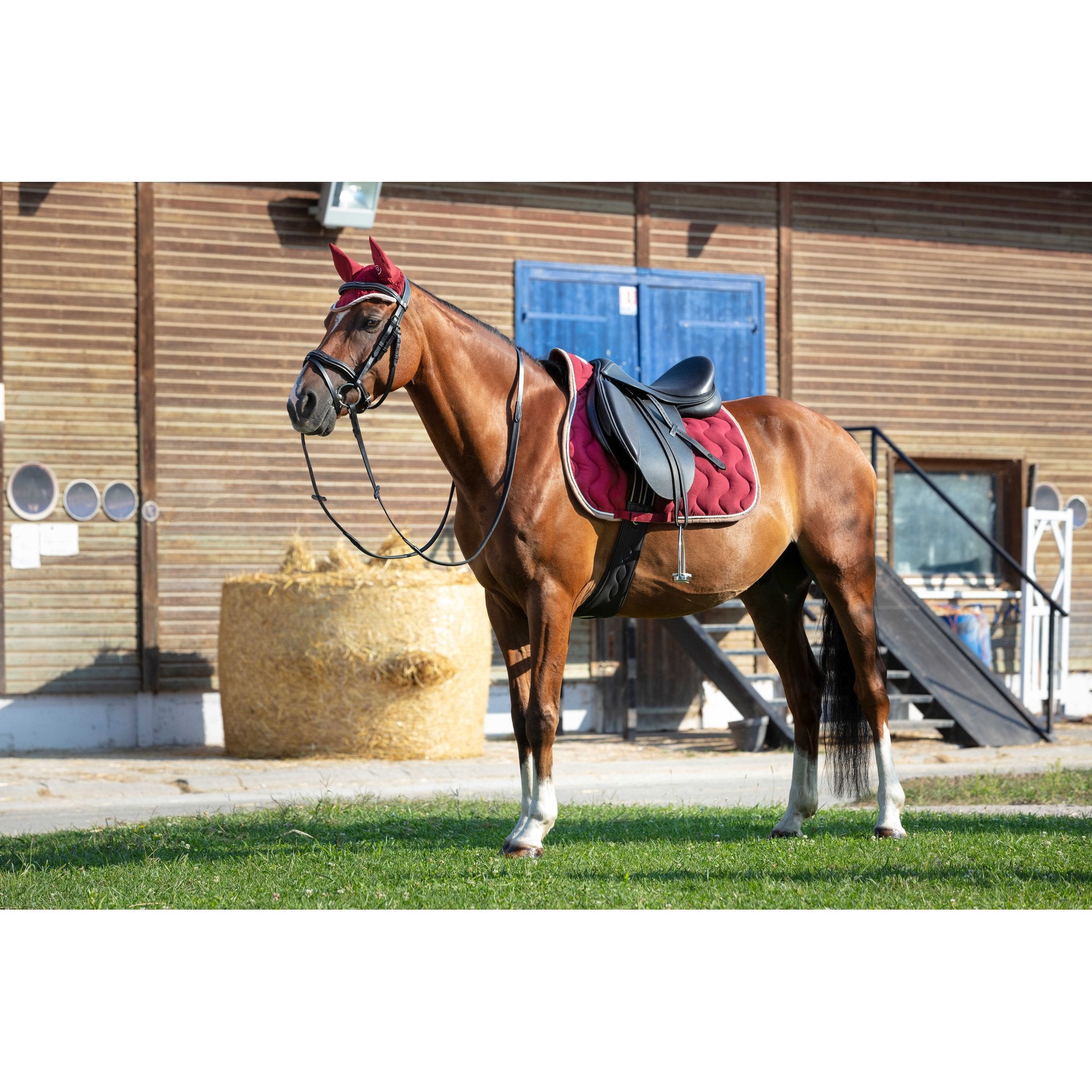 Equithème Polyfun Schabrak