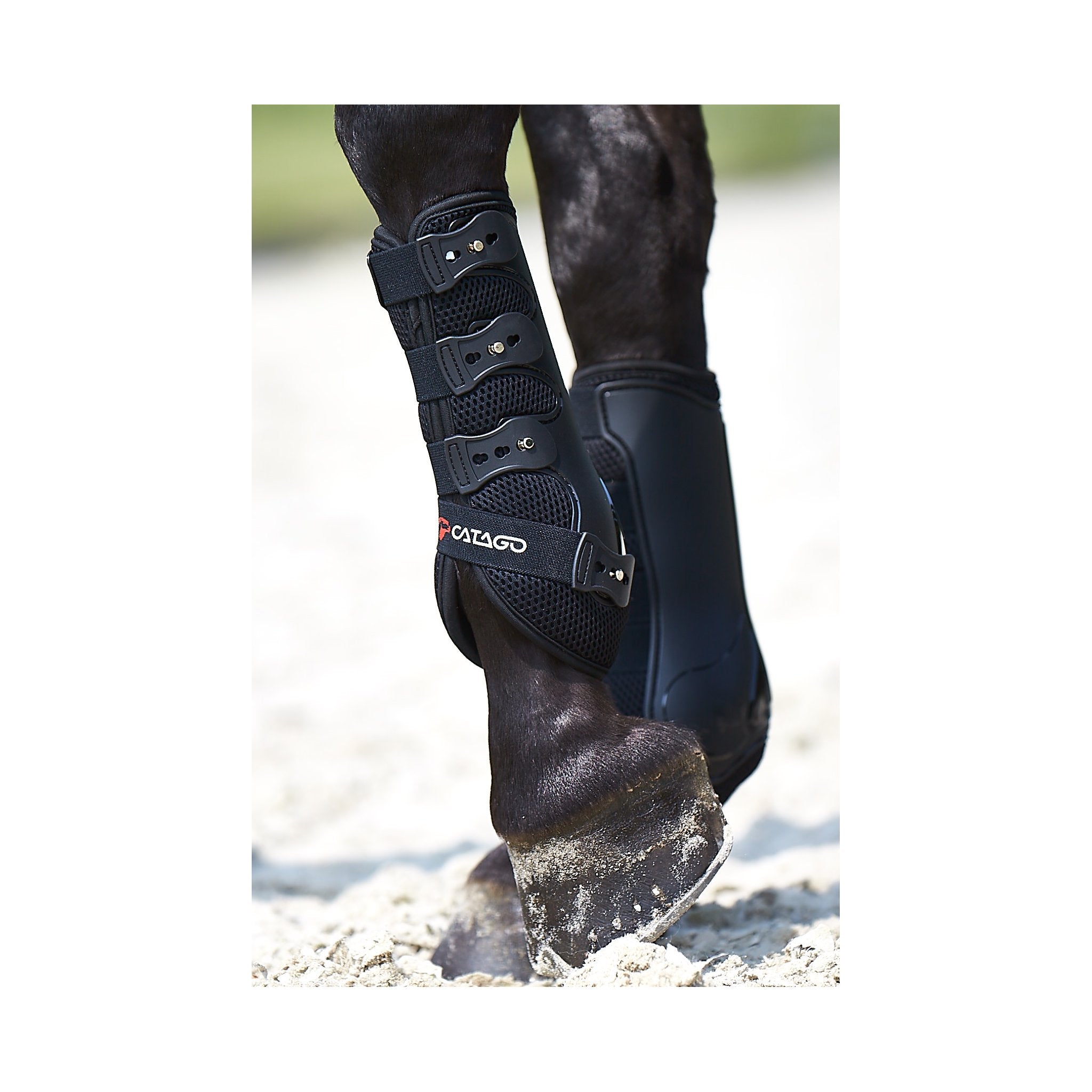 CATAGO FIR-Tech dressyr benskydd
