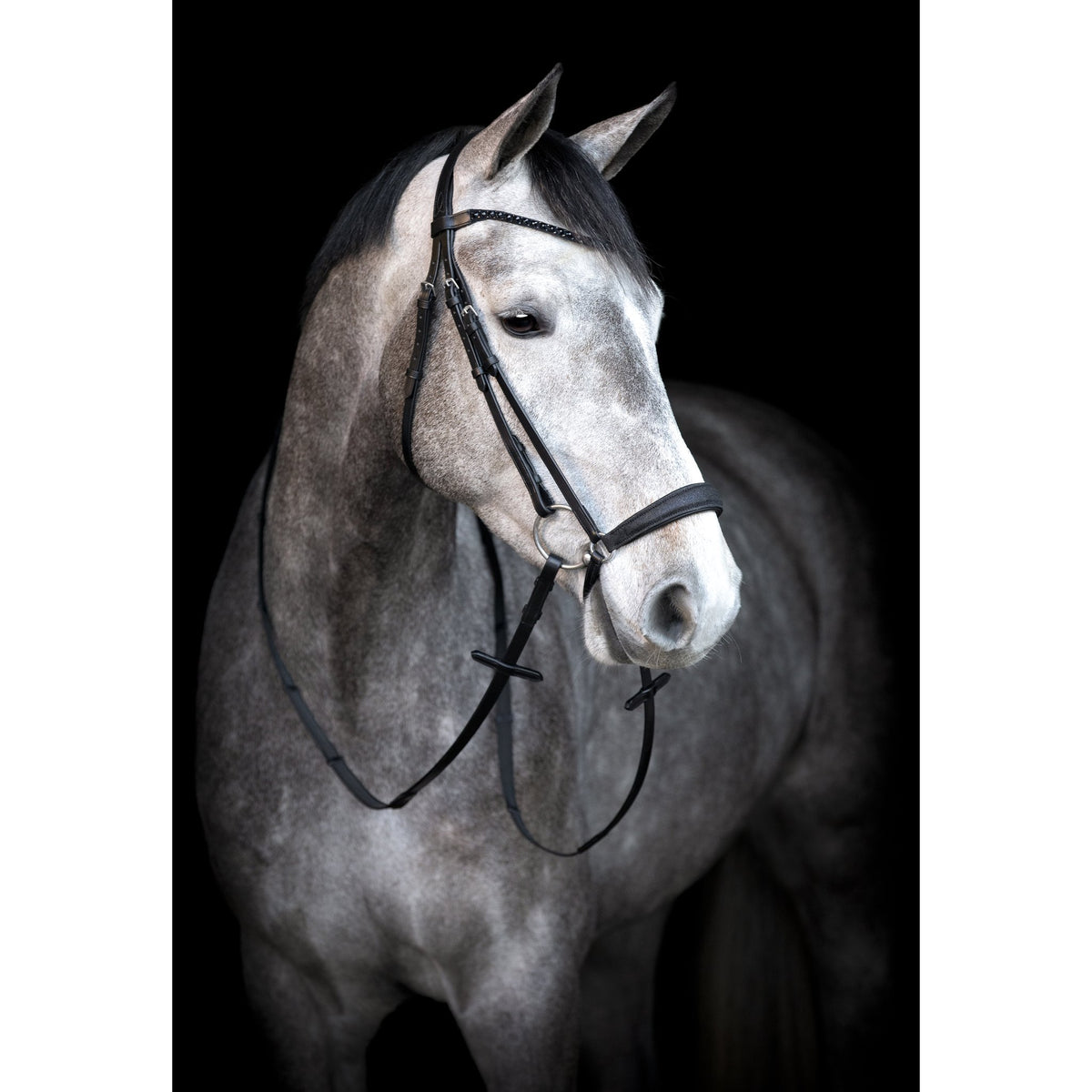 HorseGuard Cryll 24.2 träns med hängande nosgrimma