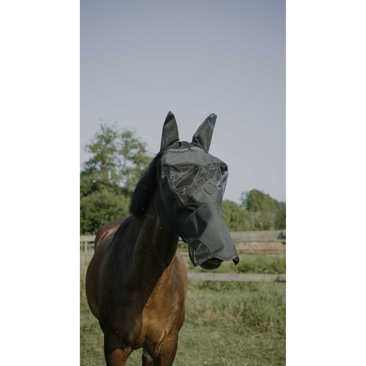 Pro Series Visor flugmask