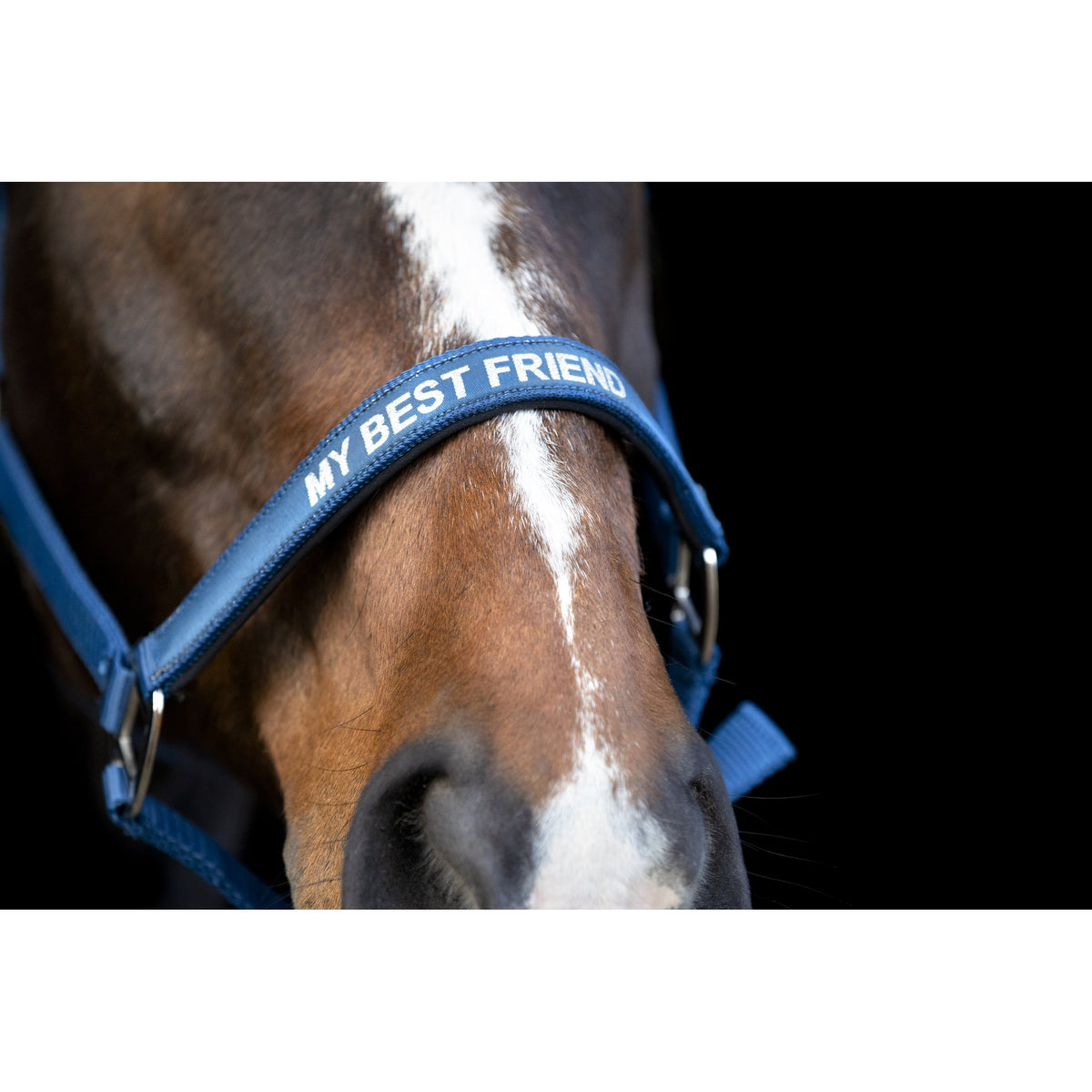 Horse Guard Malva Grime