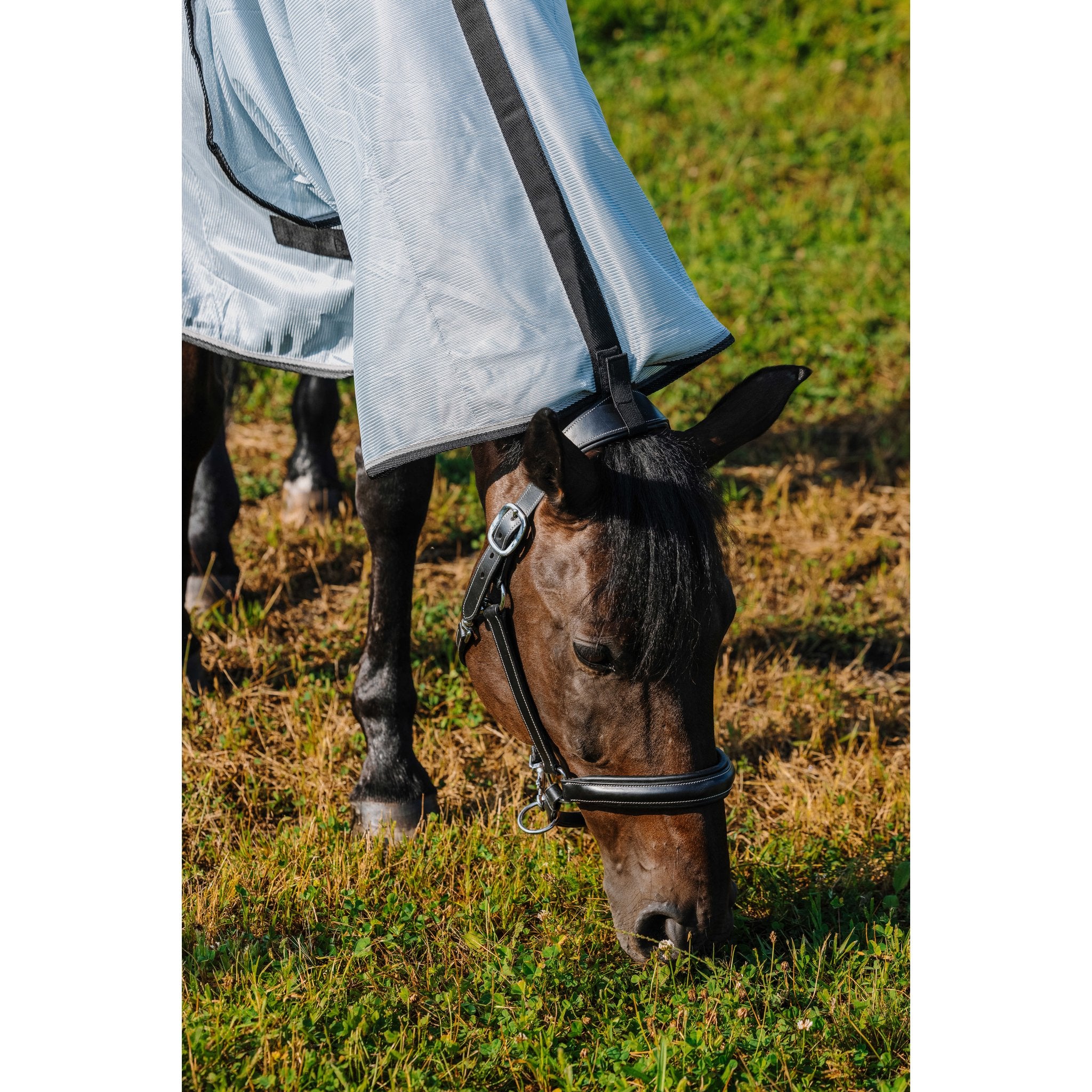 RIDING WORLD Belly Mesh Flugtäcke med hals