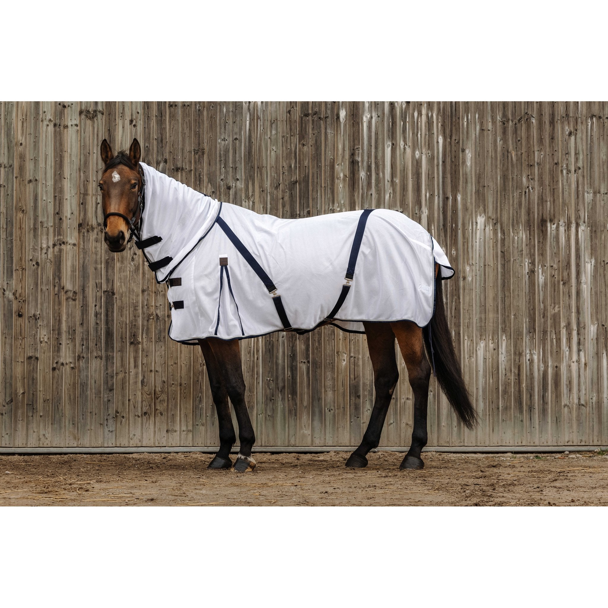Equithème Mesh Combo Anti insektstäcke