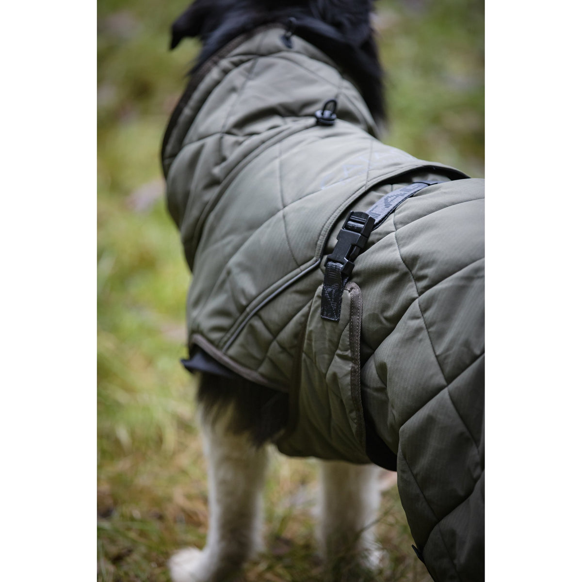 CATAGO Fir-Tech Trainer Dog rug