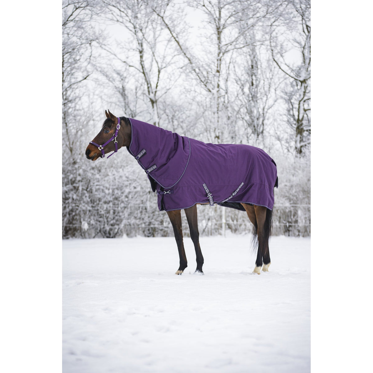 Horse Guard Millan 1200D turnout-täcke avtagbar hals 200g