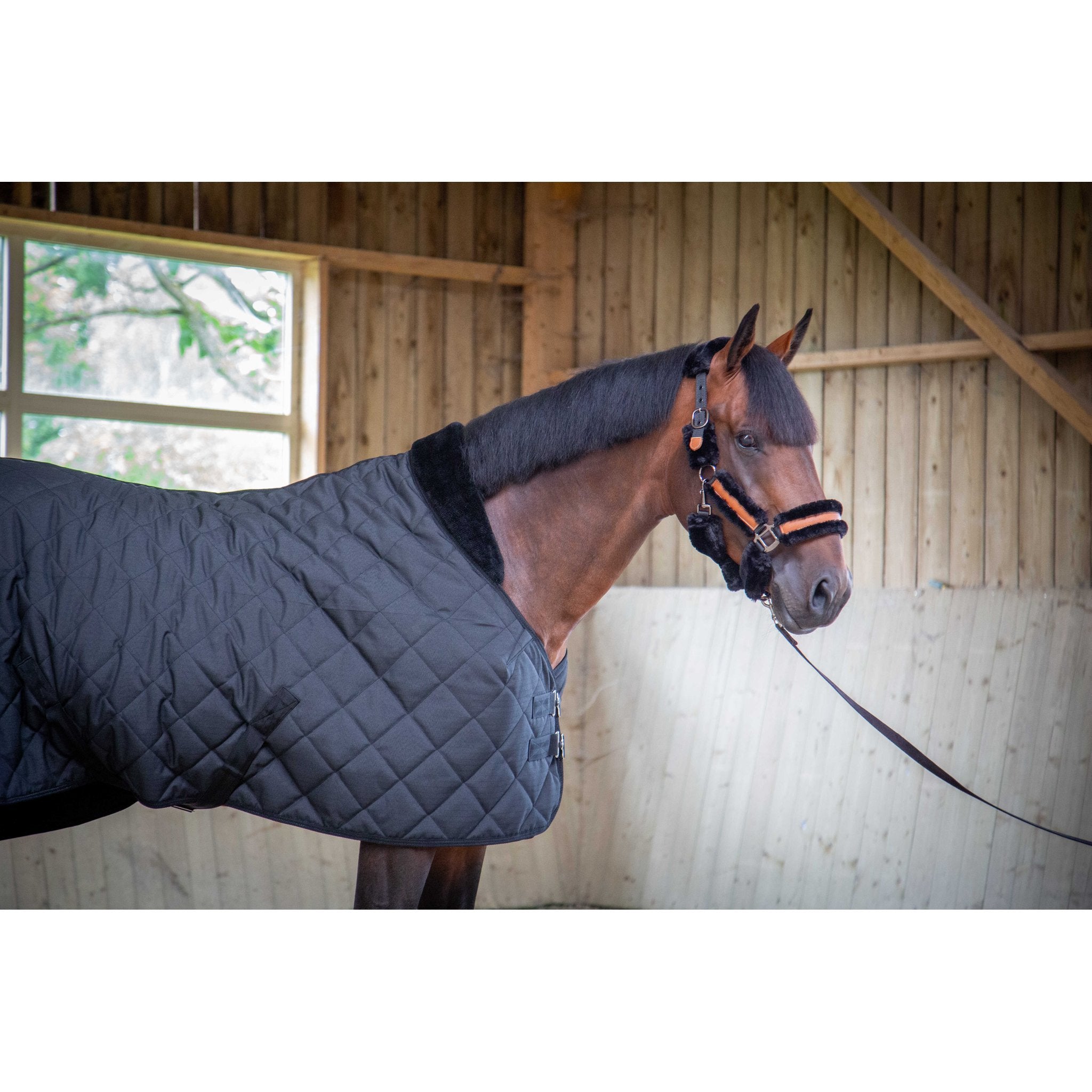 PADDOCK Padded stalltäcke