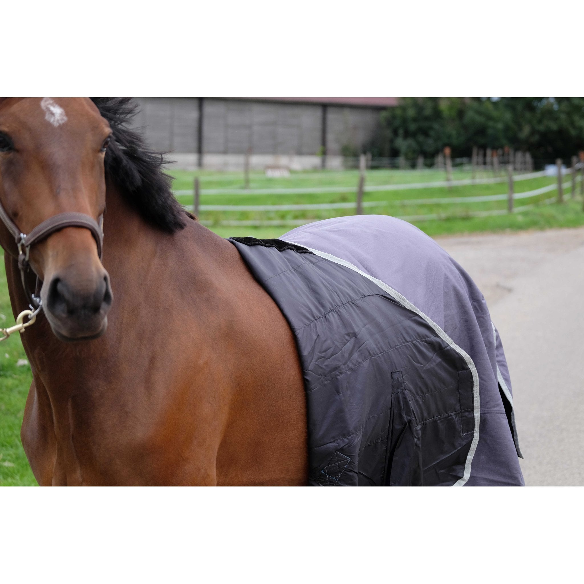 Equithème TYREX 1200D Återvunnet Turnout täcke 150 g