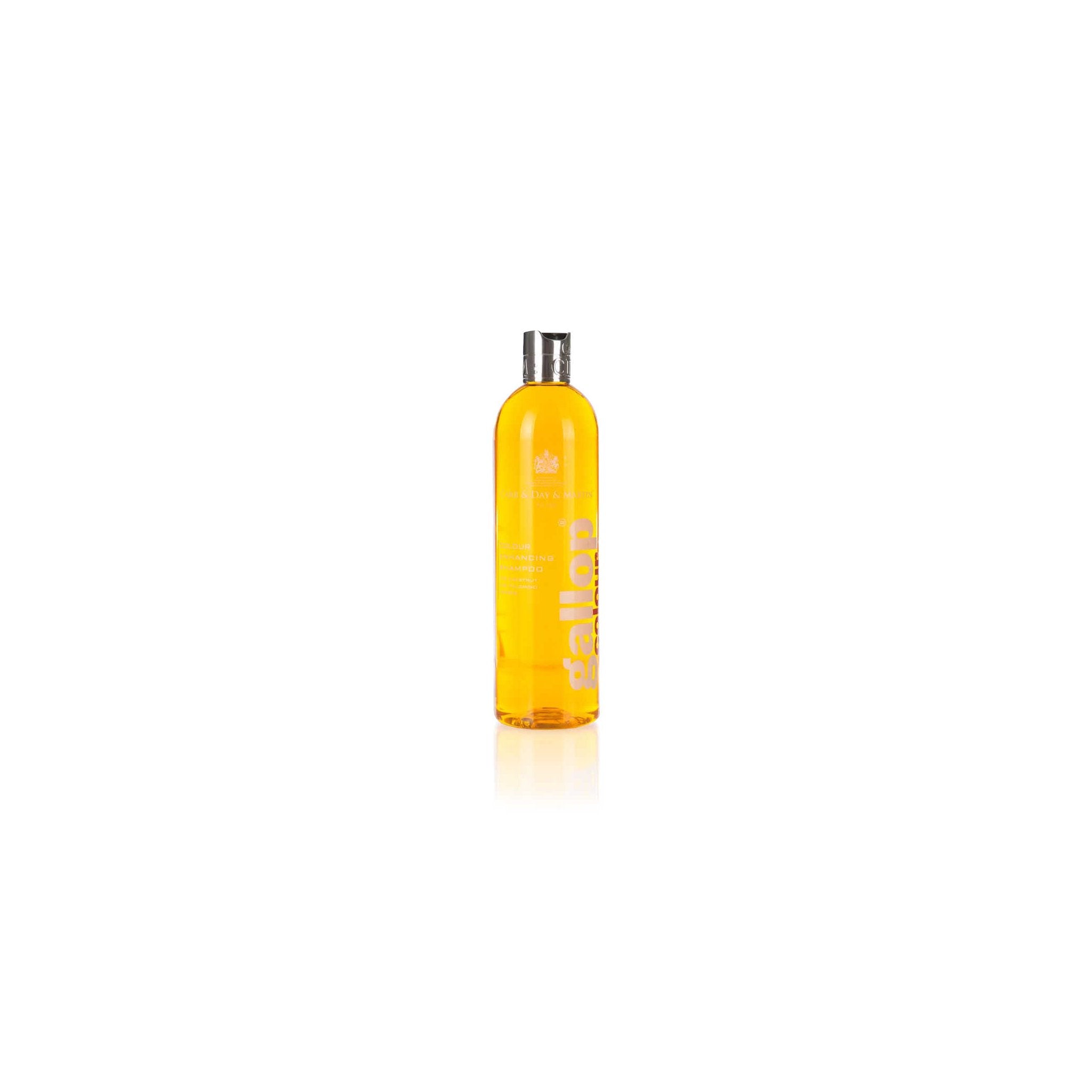 CARR & DAY & MARTIN Shampoo Gallop Hazelnut and Palomino Horses
