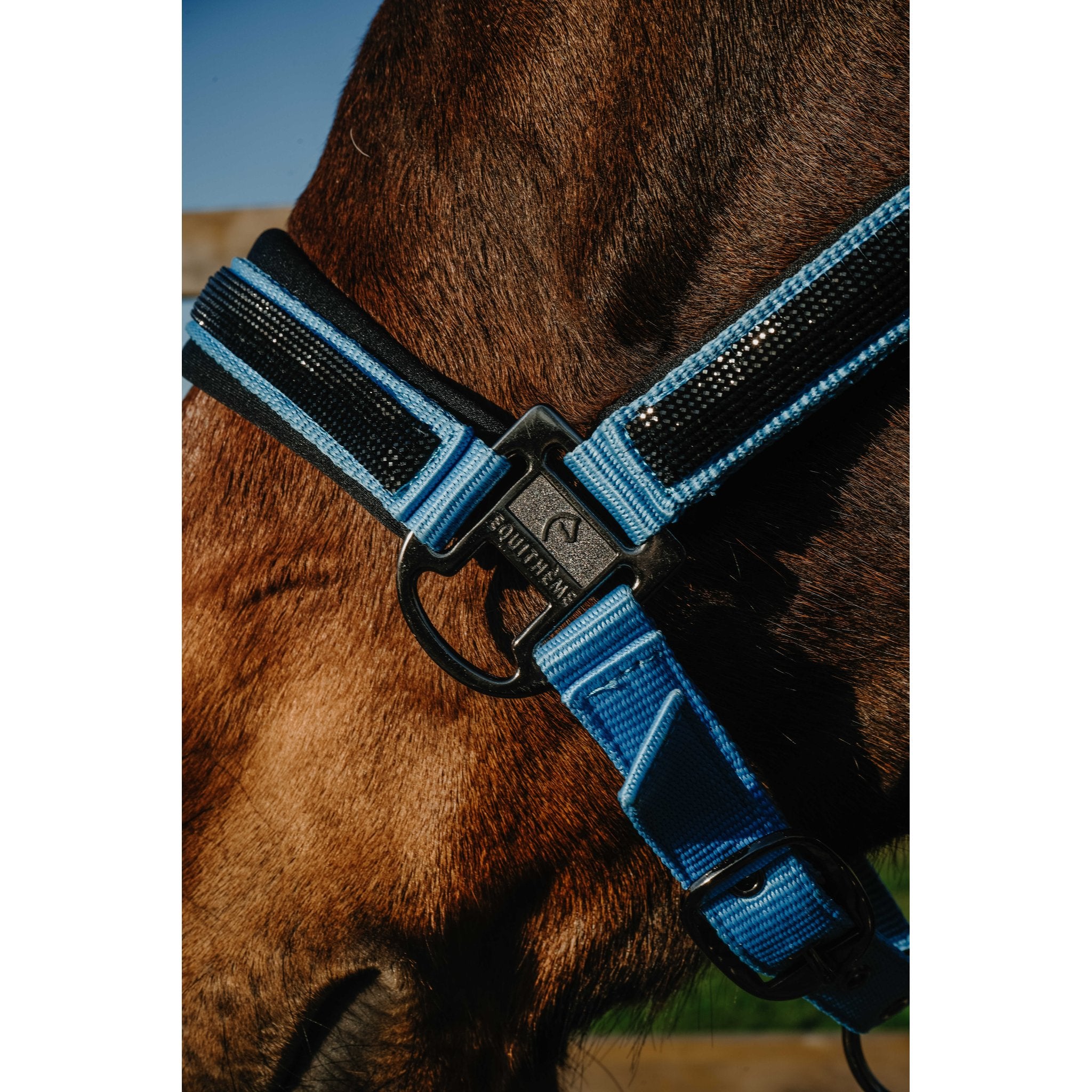 Equitheme Strass grimma