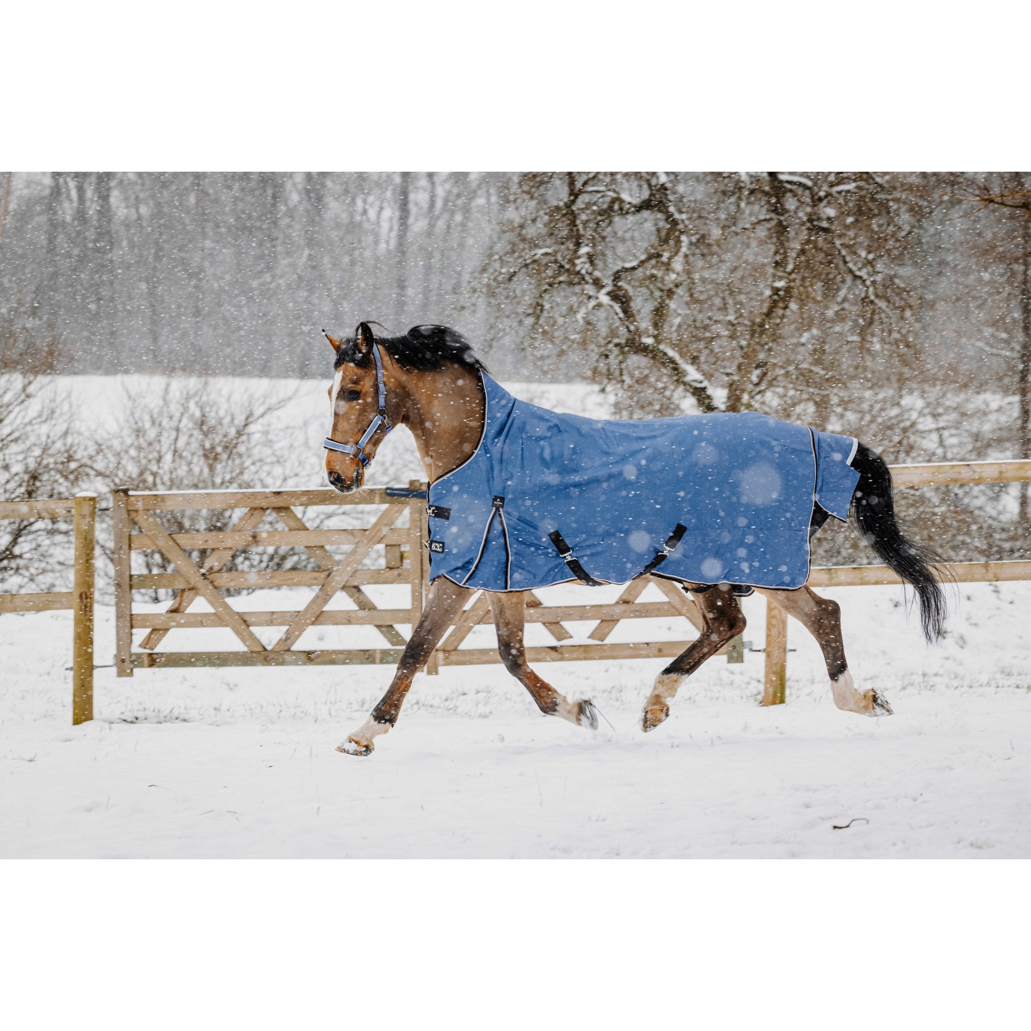 Equitheme Tyrex Aisance high neck, 300 g