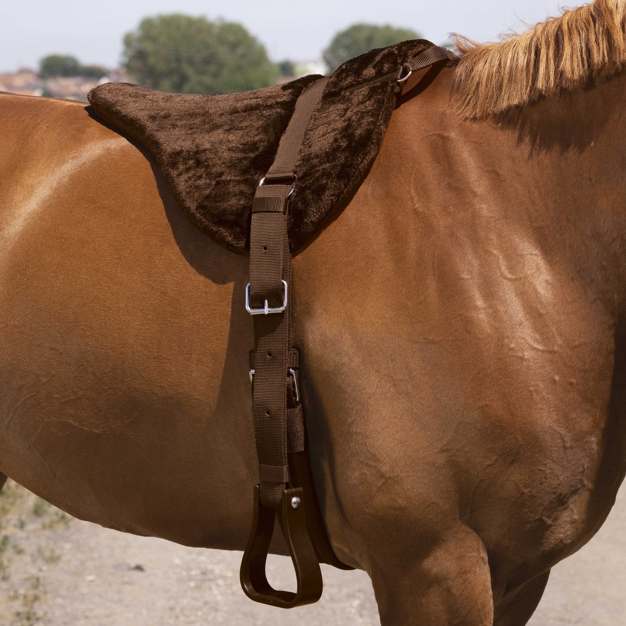 Norton barbackapadd Comfort