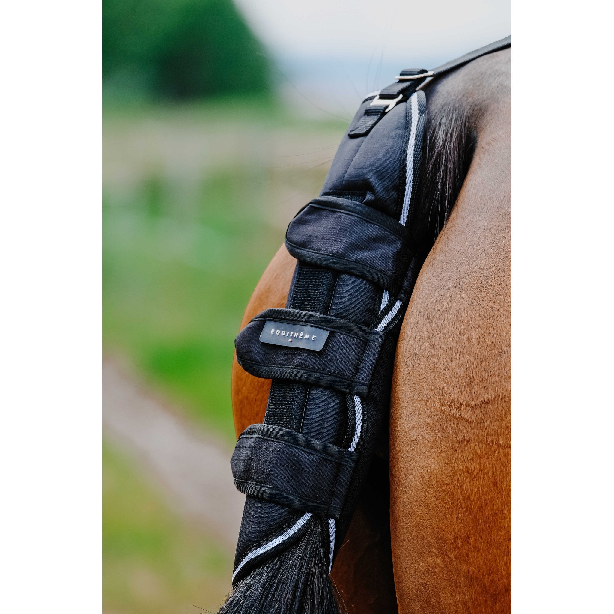 Equithème TYREX 600D Svansskydd