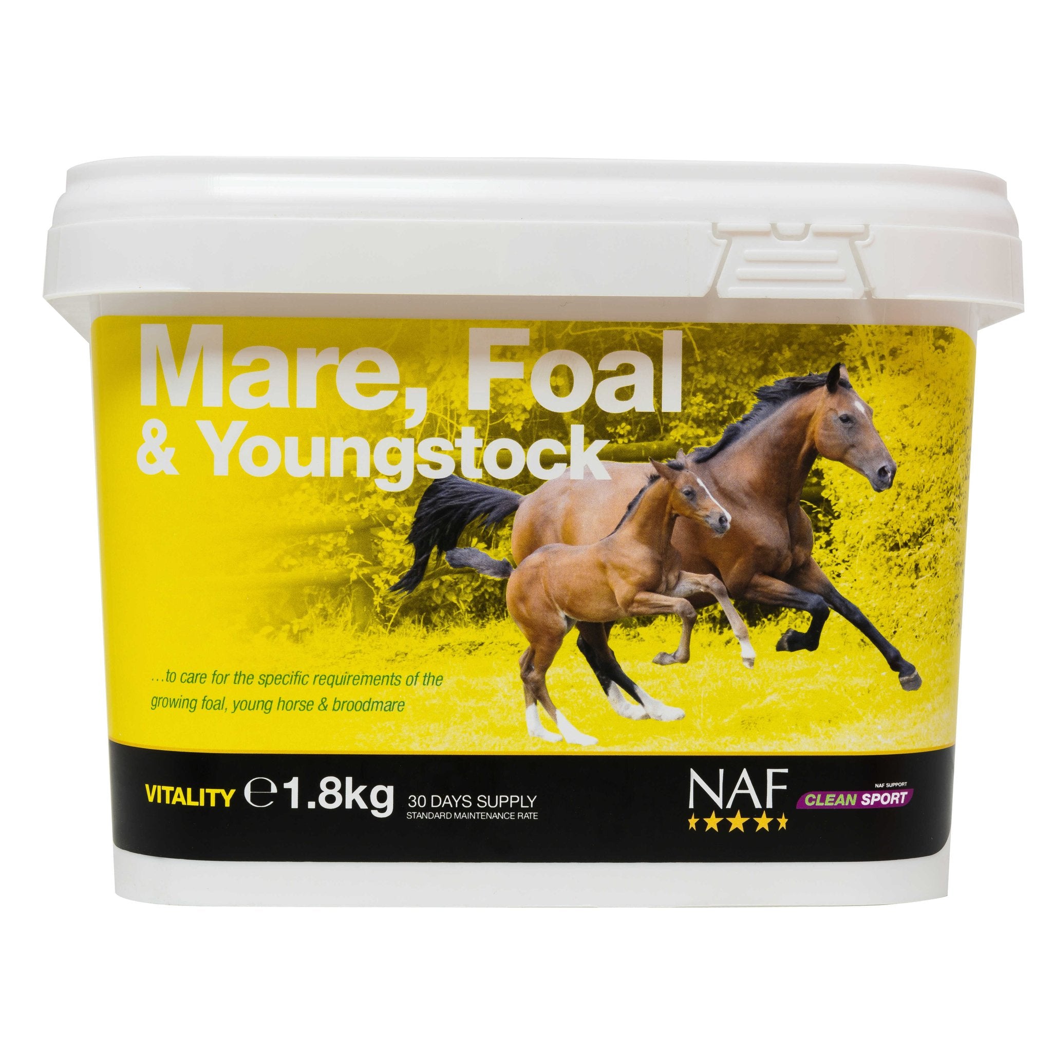 NAF Mare, Foal & Youngstock