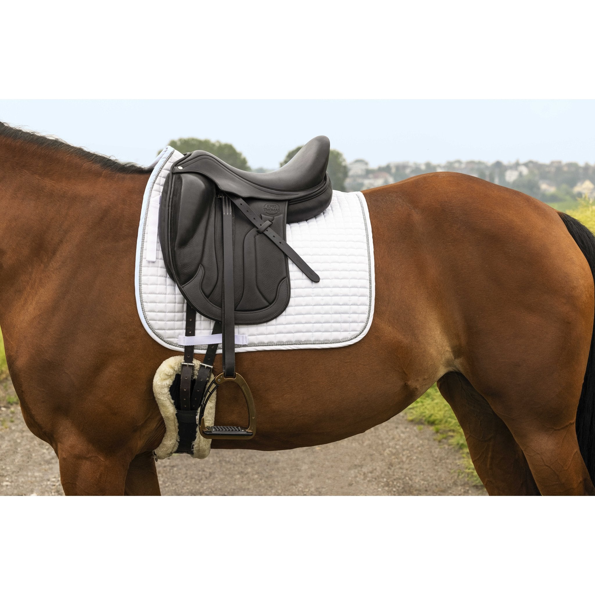 RIDING WORLD Girly Dressyrschabrak