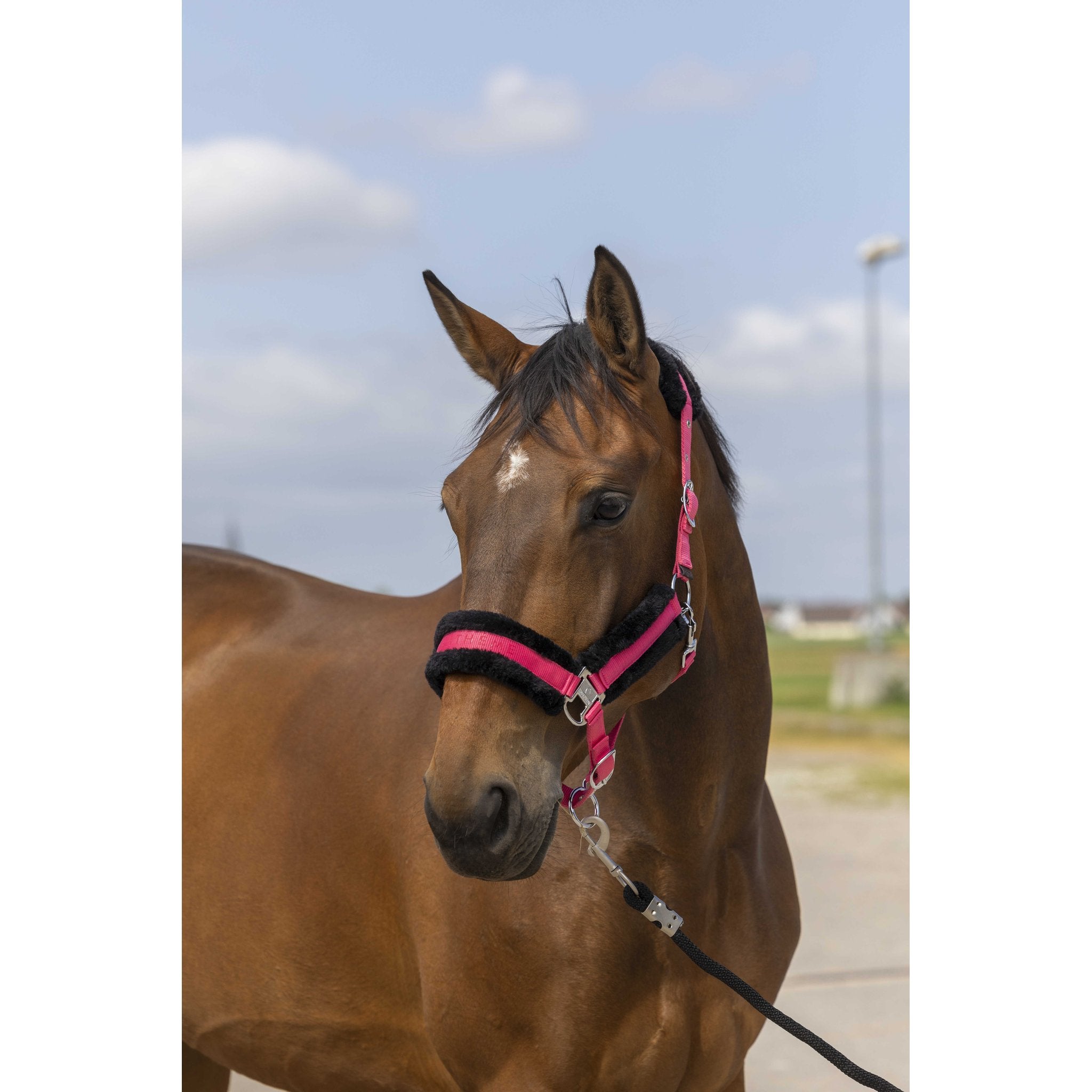 Equithème Nylon Mouton Grimma