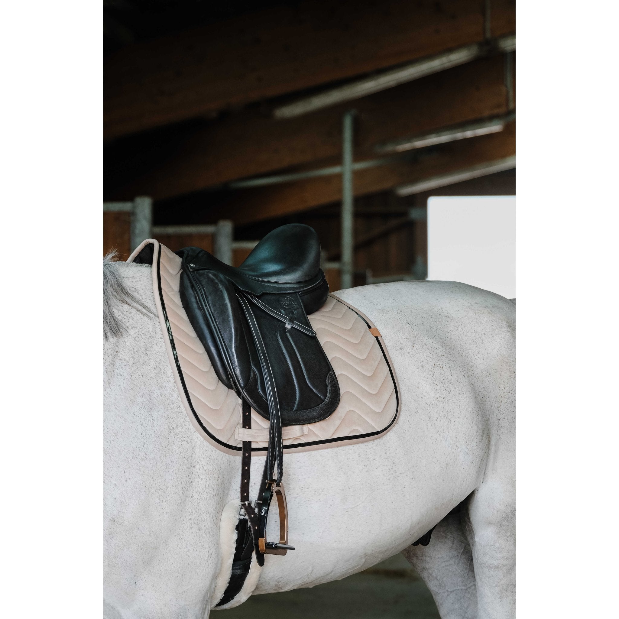 Equithème Glossy Schabrak Dr