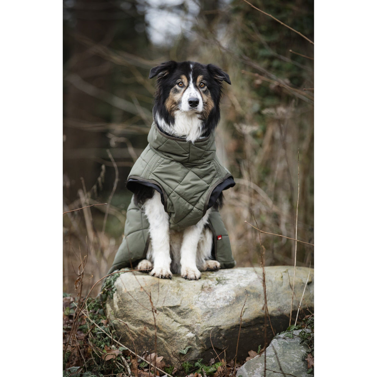 CATAGO Fir-Tech Trainer Dog rug