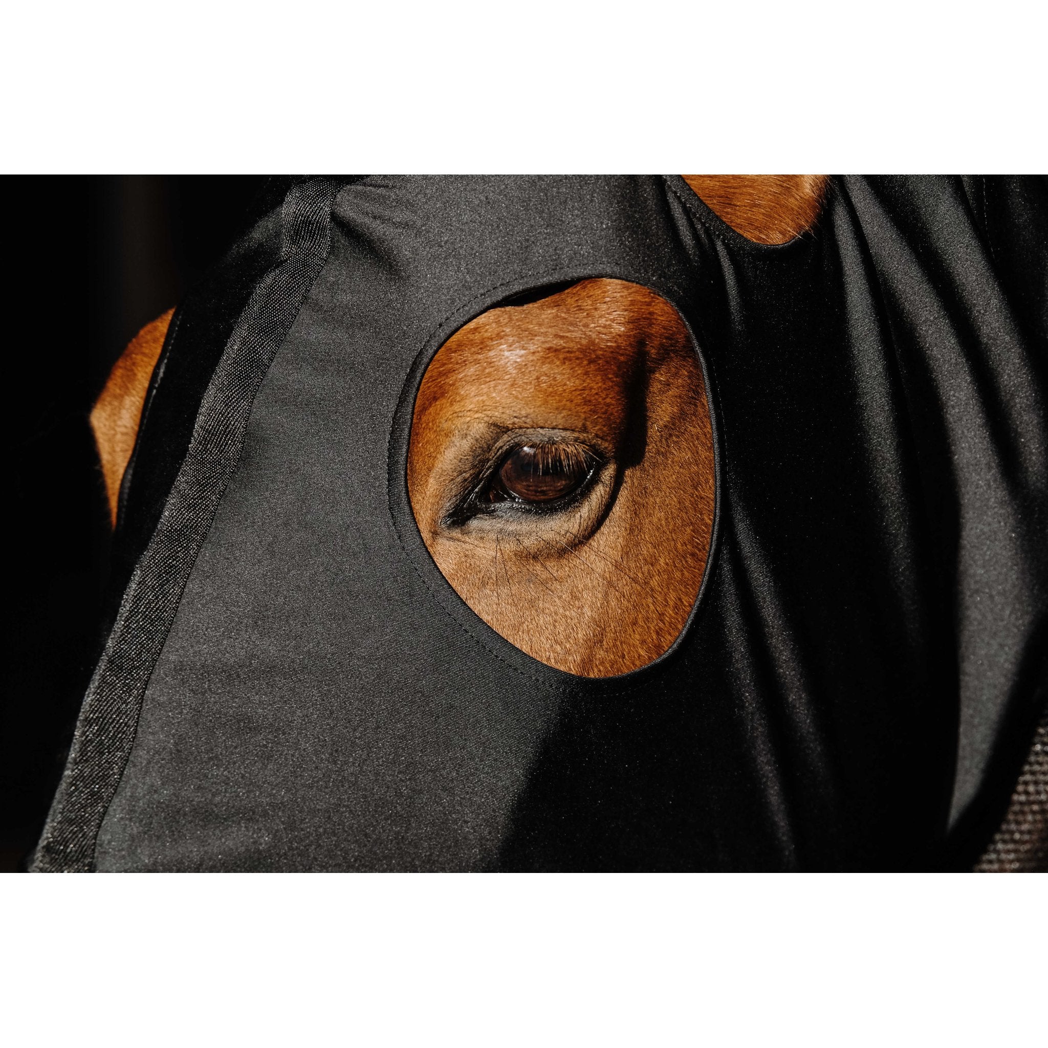 Equithème Lycra/Mesh halsskydd med mask